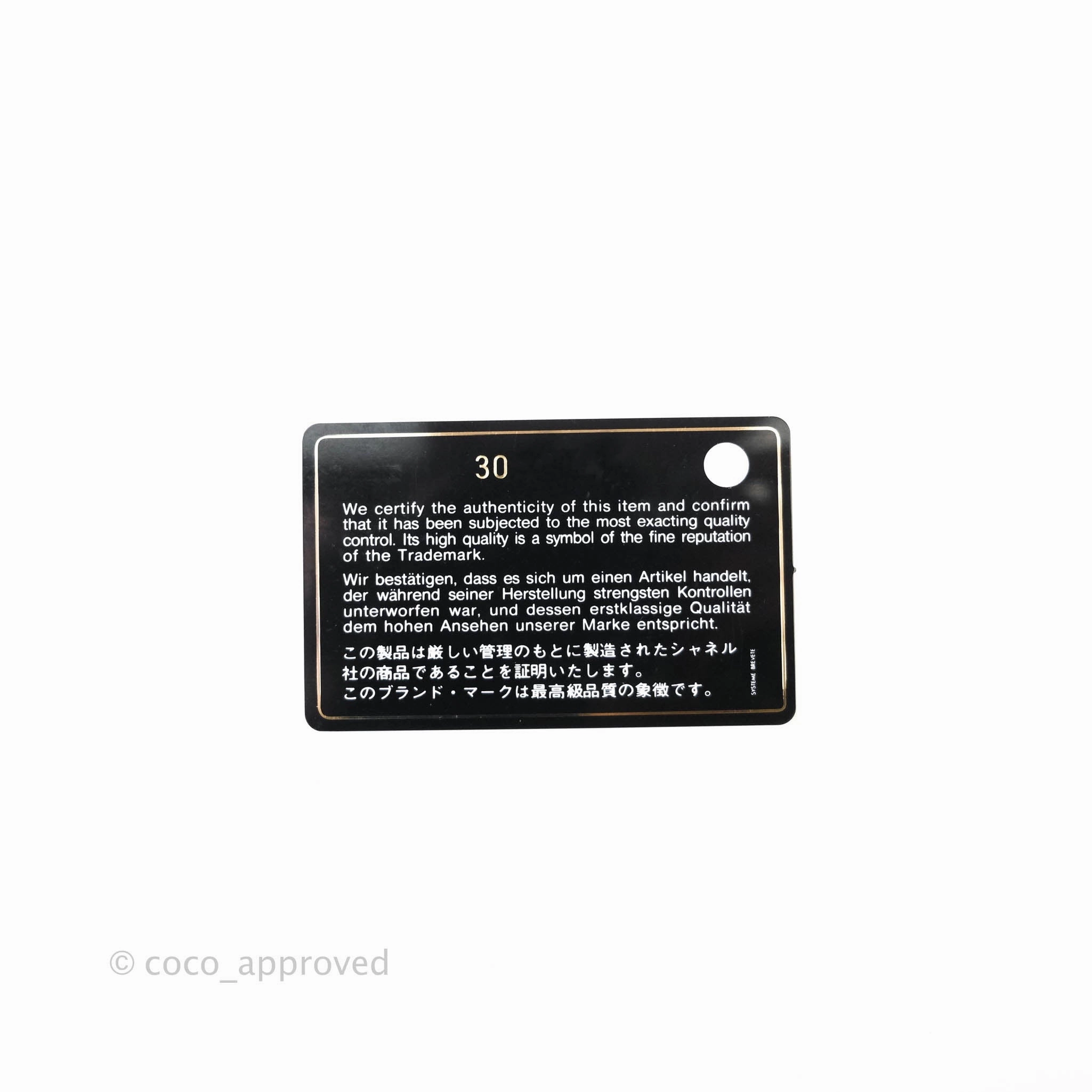 Chanel 19 Medium Black Mixed Hardware Goatskin