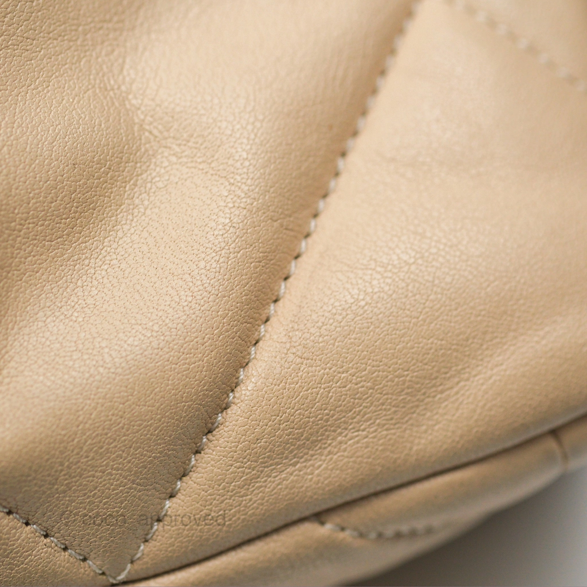 Chanel 19 Small Beige Goatskin Mixed Hardware