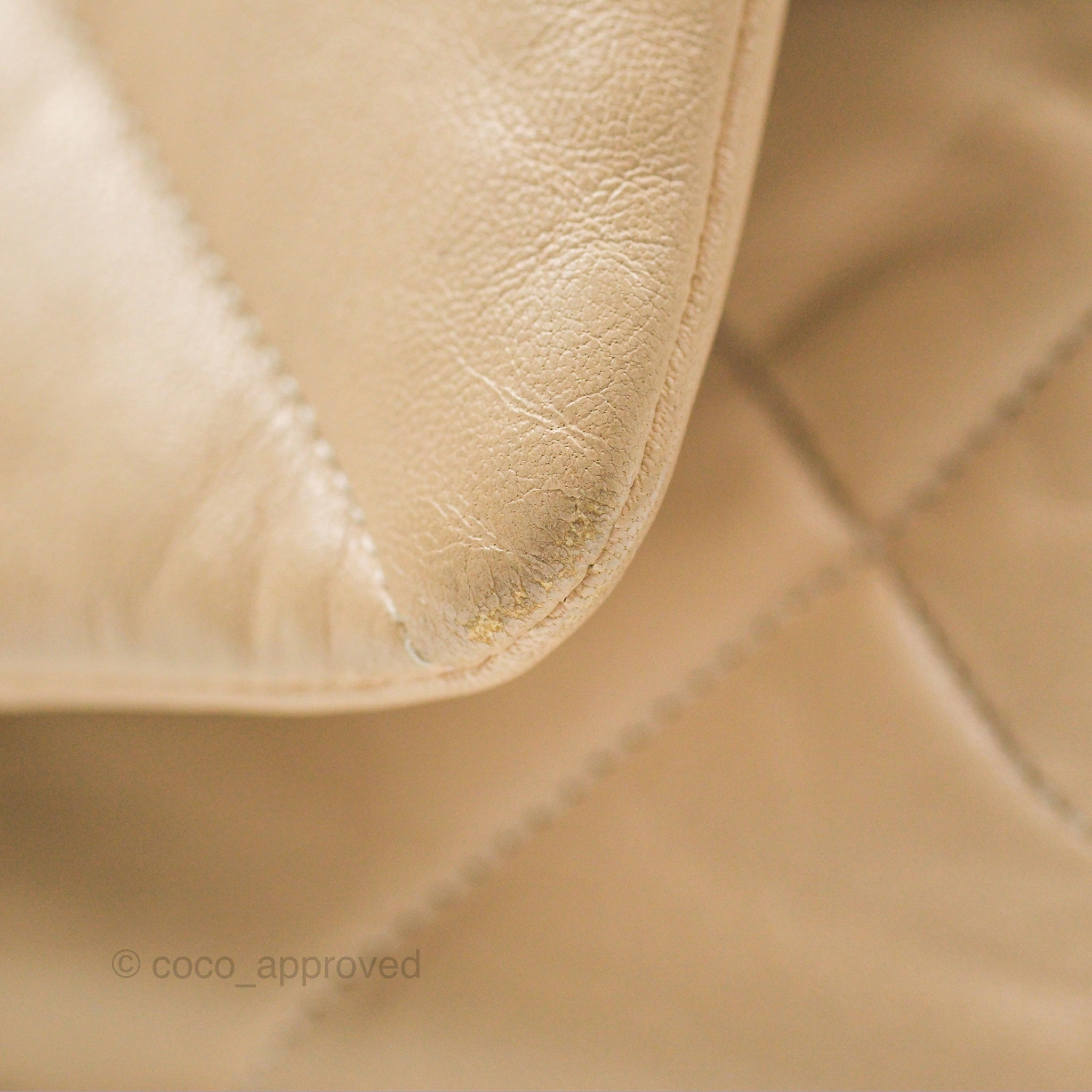 Chanel 19 Small Beige Goatskin Mixed Hardware