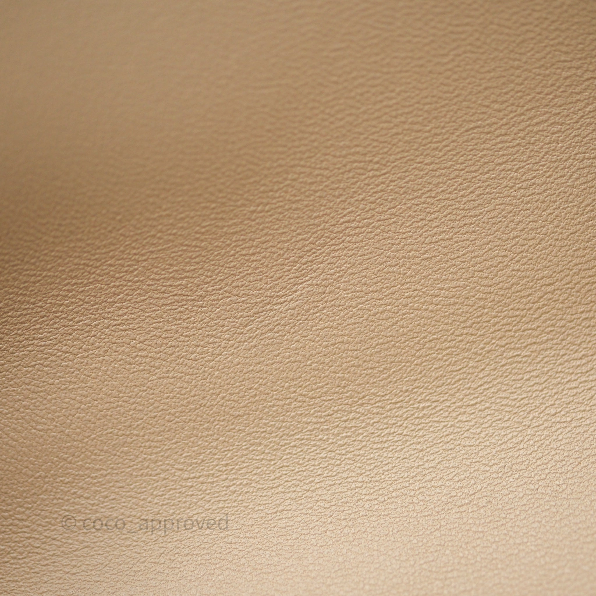 Chanel 19 Small Beige Mixed Hardware
