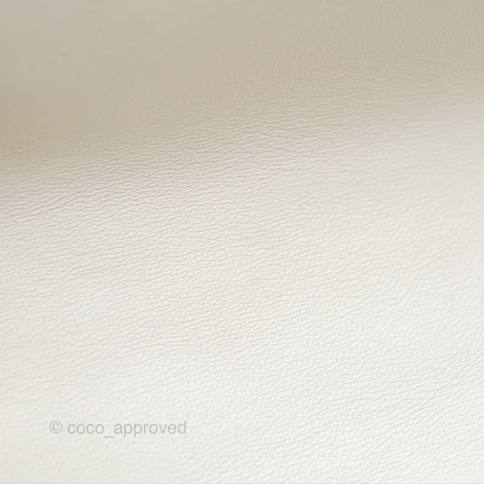 Chanel 19 Small Ivory White Lambskin Mixed Hardware