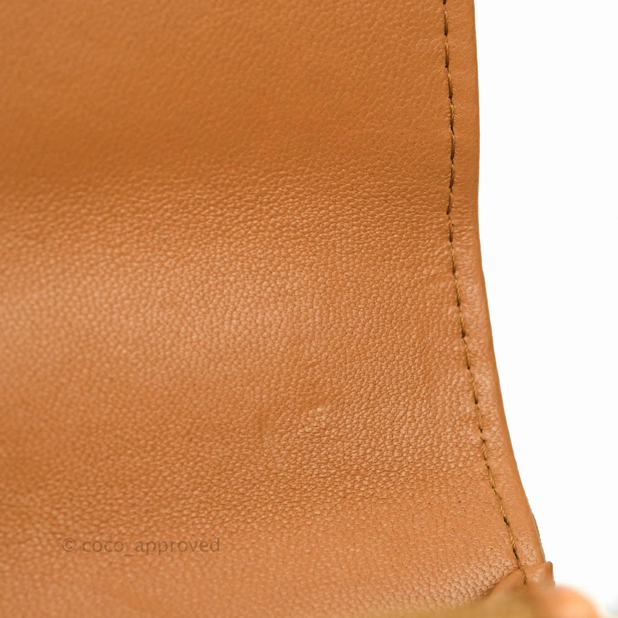 Chanel 19 Wallet on Chain WOC Dark Beige Caramel Lambskin Mixed Hardware 21K