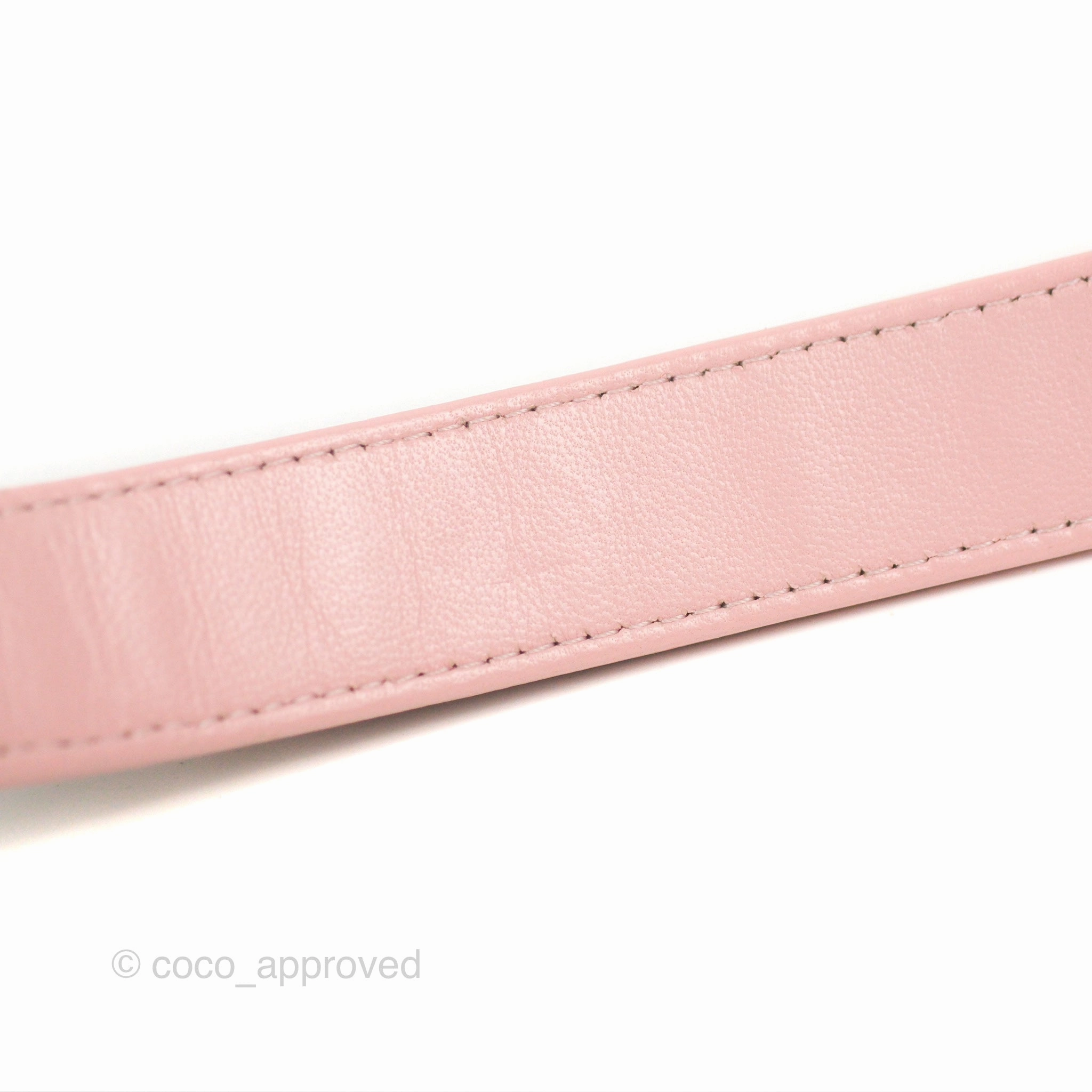 Chanel 19 Wallet on Chain WOC Light Pink Mixed Hardware