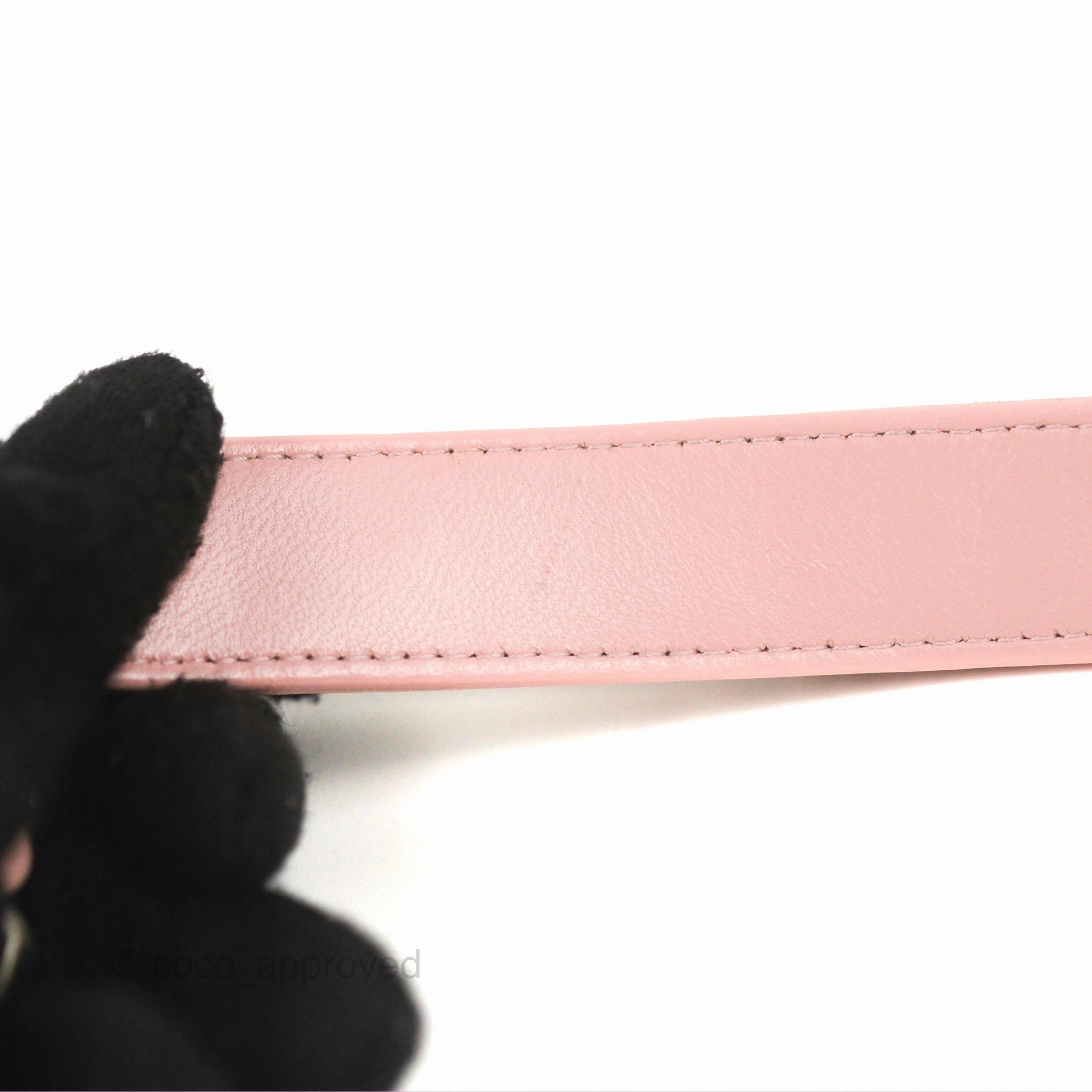 Chanel 19 Wallet on Chain WOC Light Pink Mixed Hardware