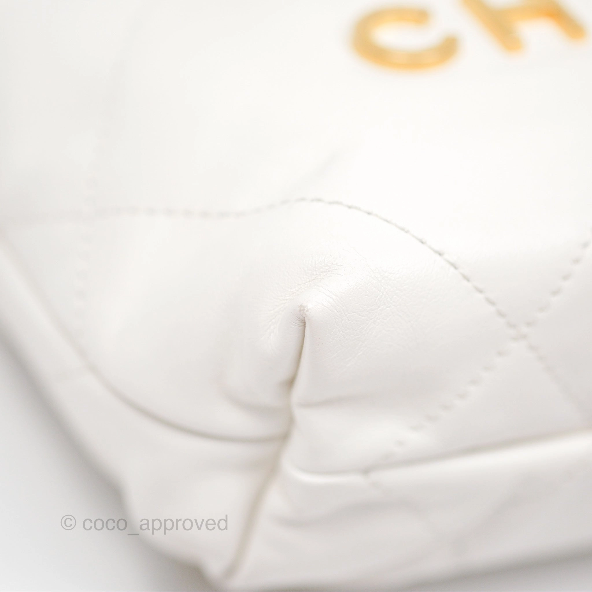 Chanel 22 Mini Bag White Shiny Crumpled Calfskin