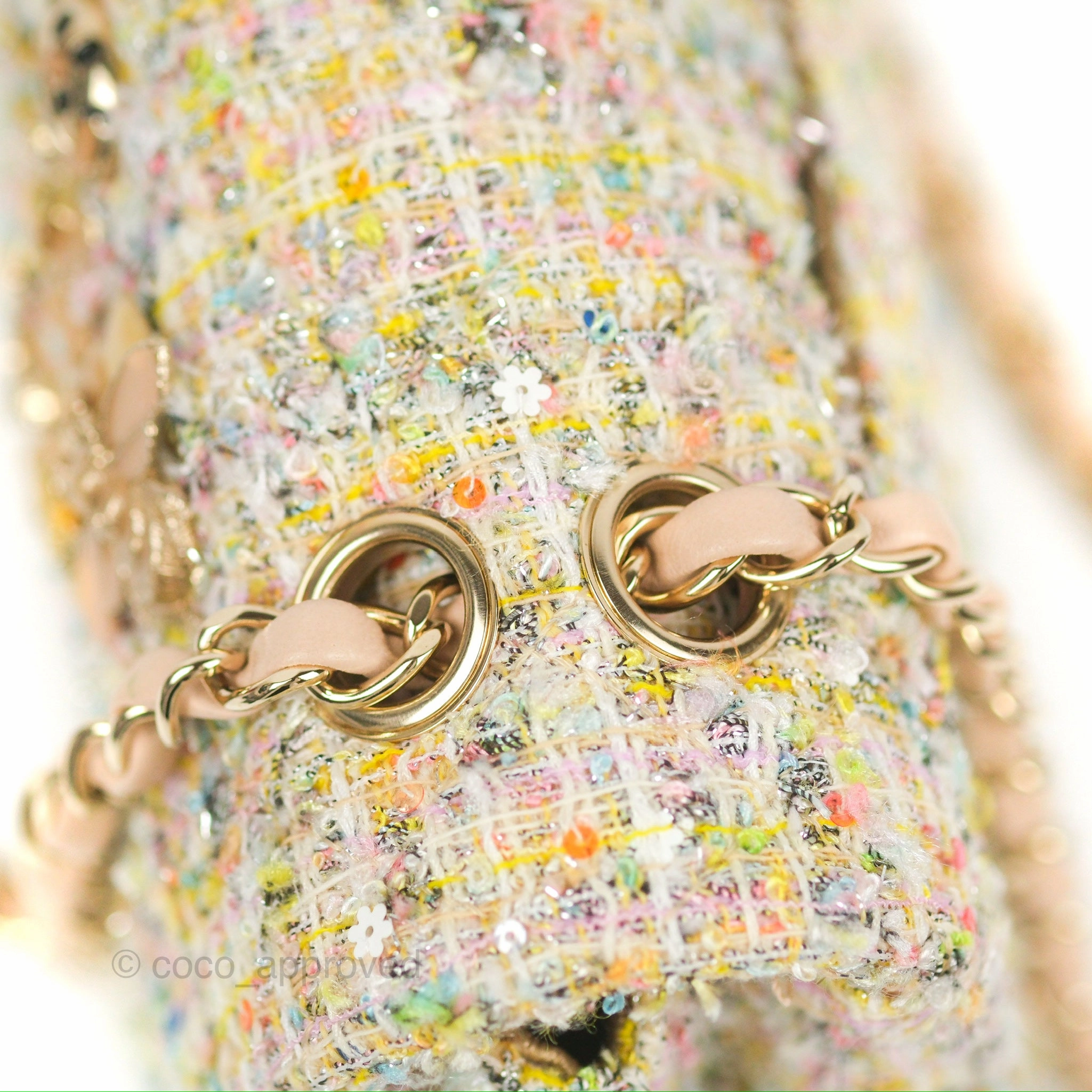 Chanel Reissue 225 Tweed Pastel Garden Party Flap