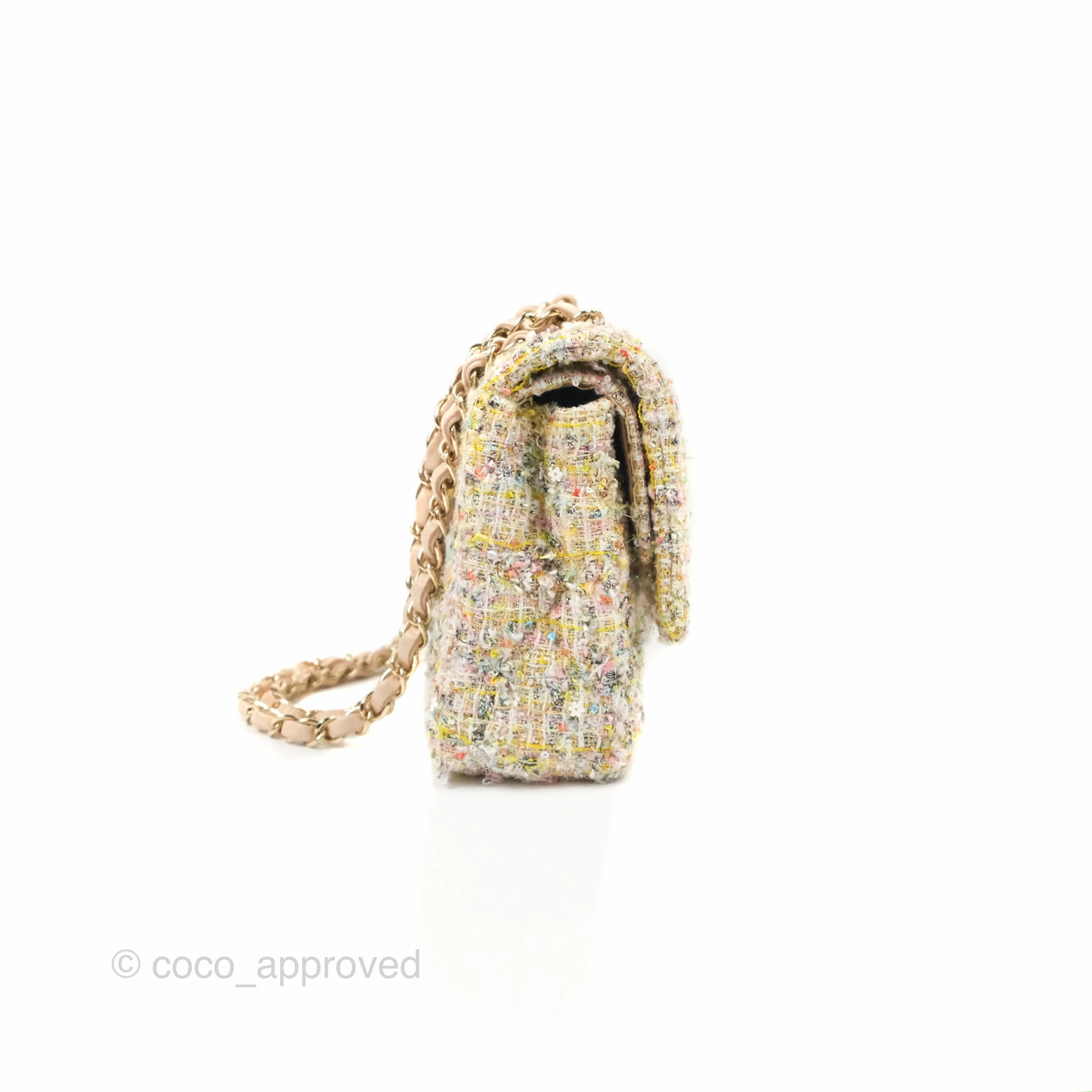 Chanel Reissue 225 Tweed Pastel Garden Party Flap