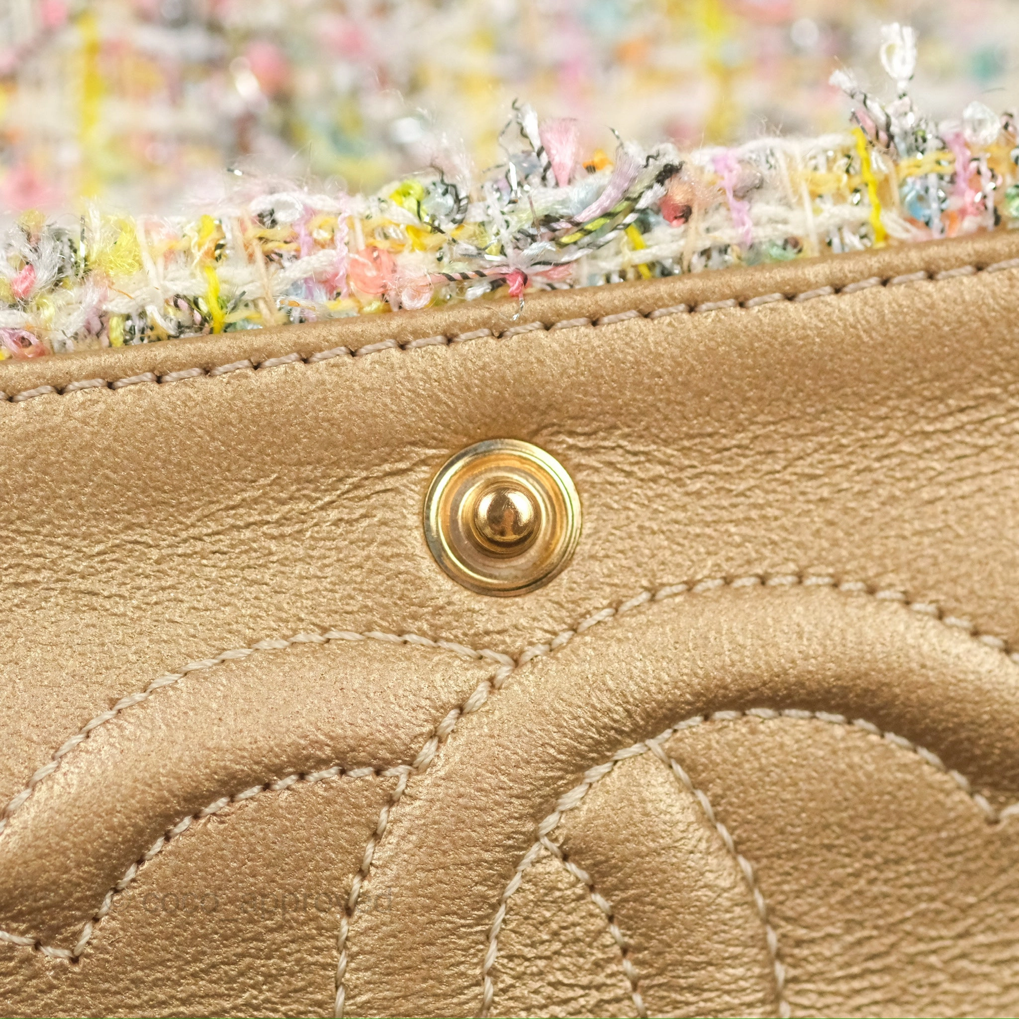 Chanel Reissue 225 Tweed Pastel Garden Party Flap