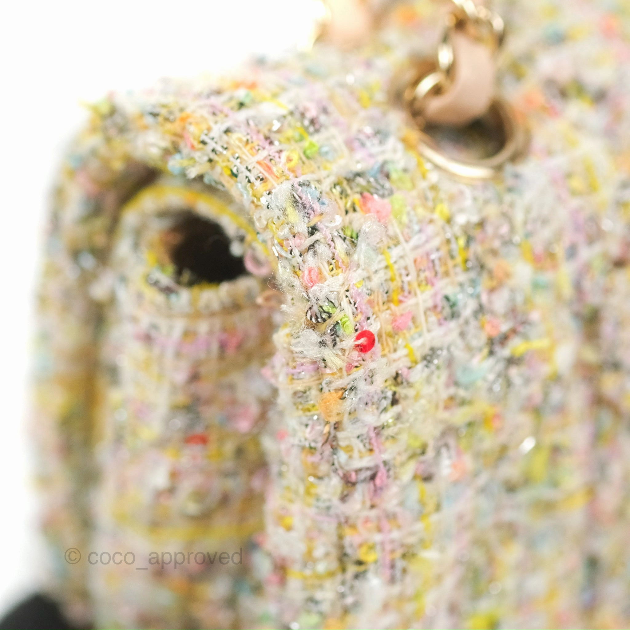 Chanel Reissue 225 Tweed Pastel Garden Party Flap