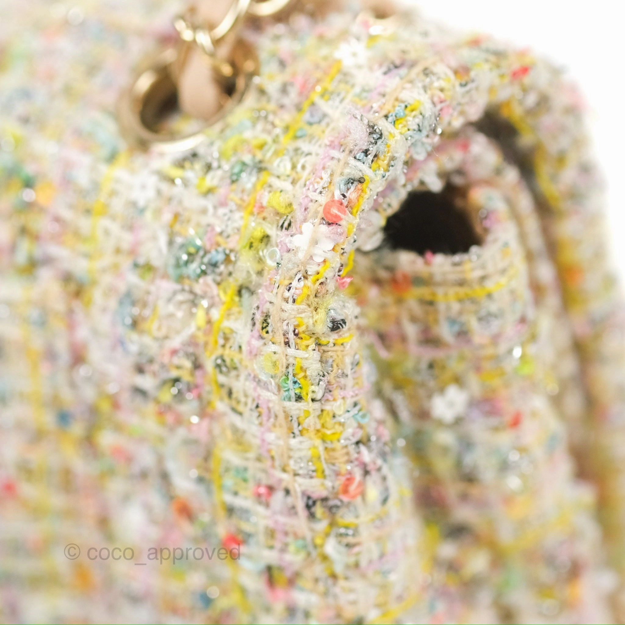 Chanel Reissue 225 Tweed Pastel Garden Party Flap
