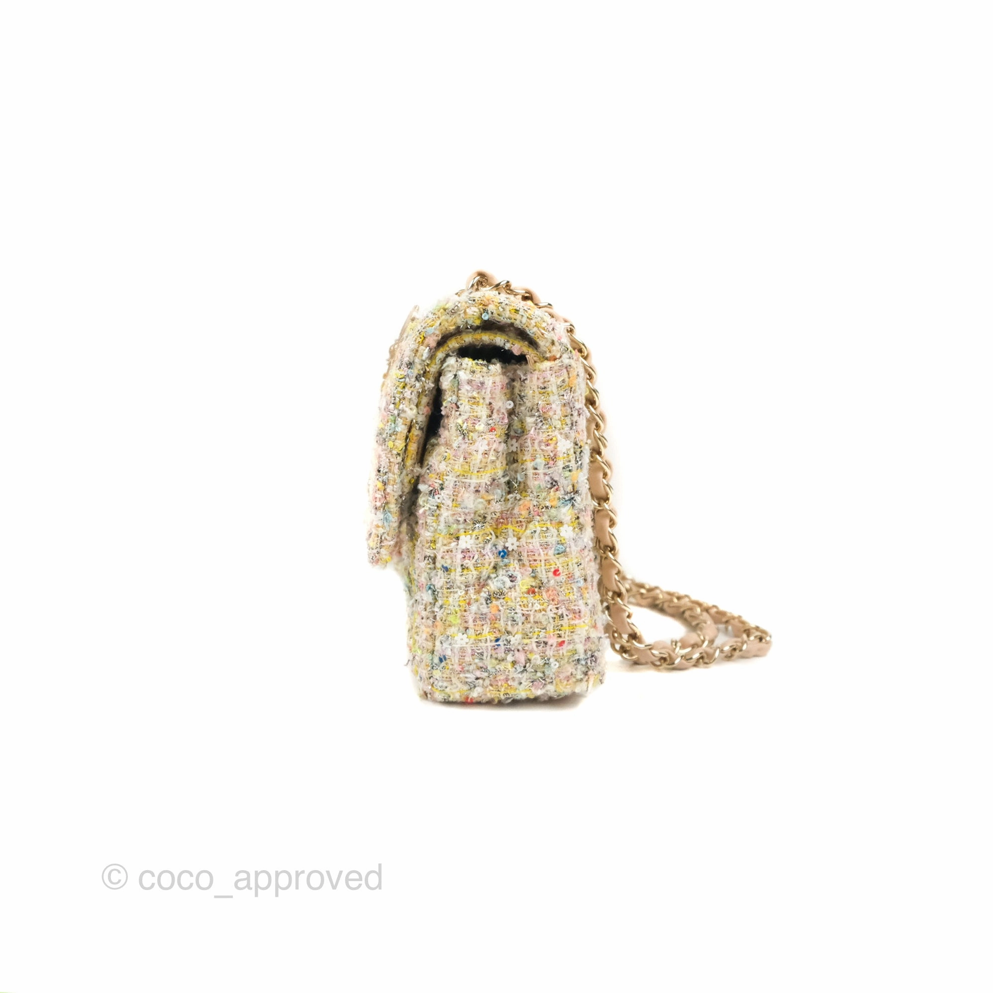 Chanel Reissue 225 Tweed Pastel Garden Party Flap