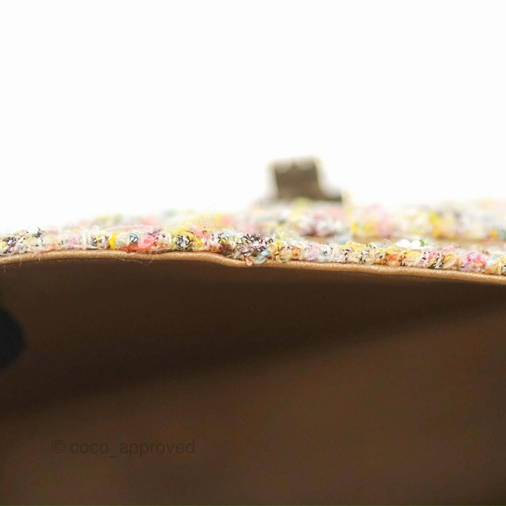 Chanel Reissue 225 Tweed Pastel Garden Party Flap