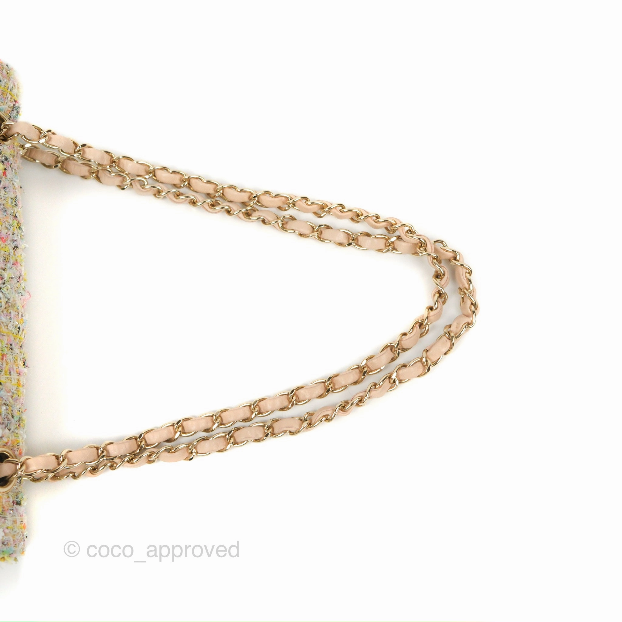 Chanel Reissue 225 Tweed Pastel Garden Party Flap