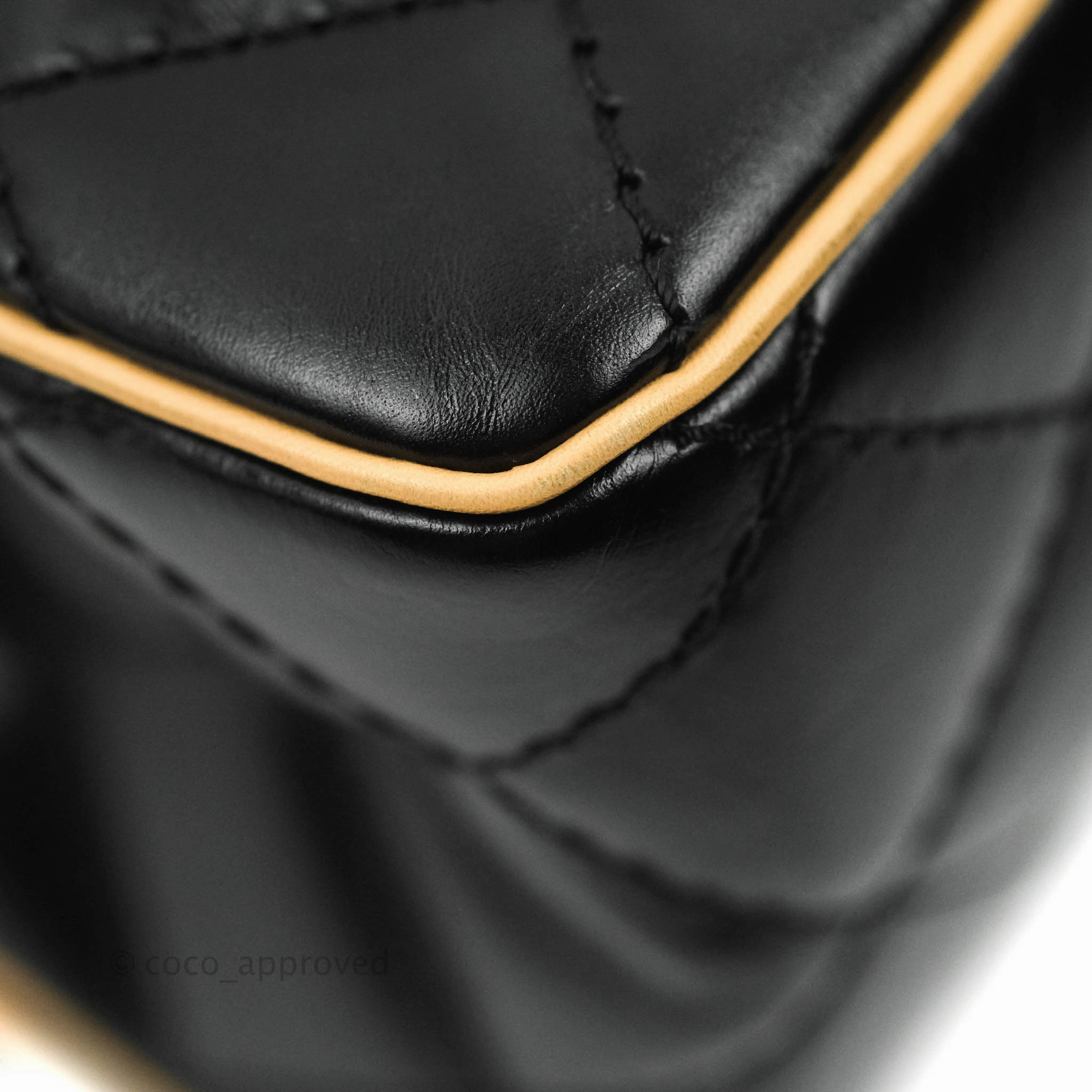 Chanel Reissue Quilted Aged Calfskin Beige & Black Ruthenium Hardware 226