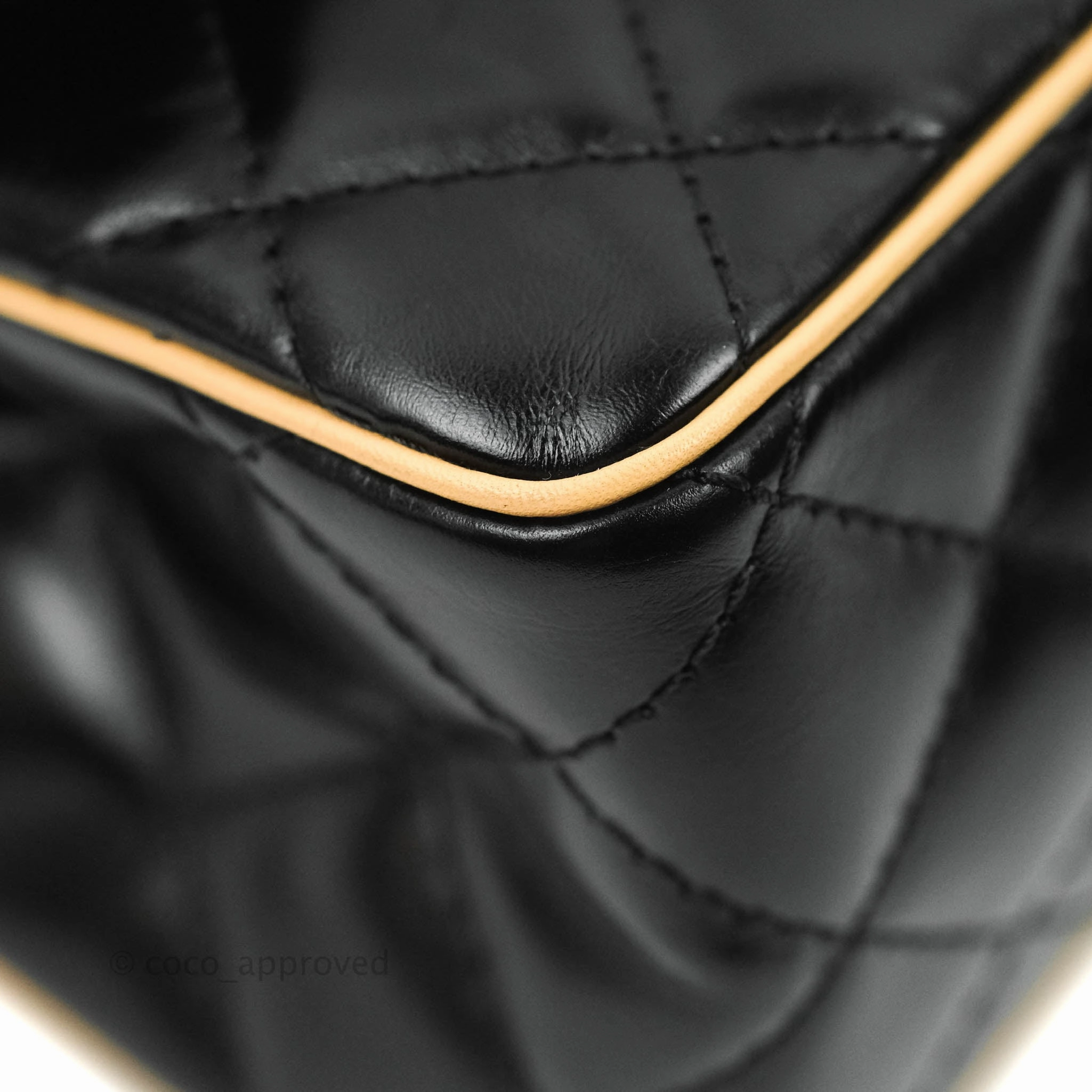 Chanel Reissue Quilted Aged Calfskin Beige & Black Ruthenium Hardware 226