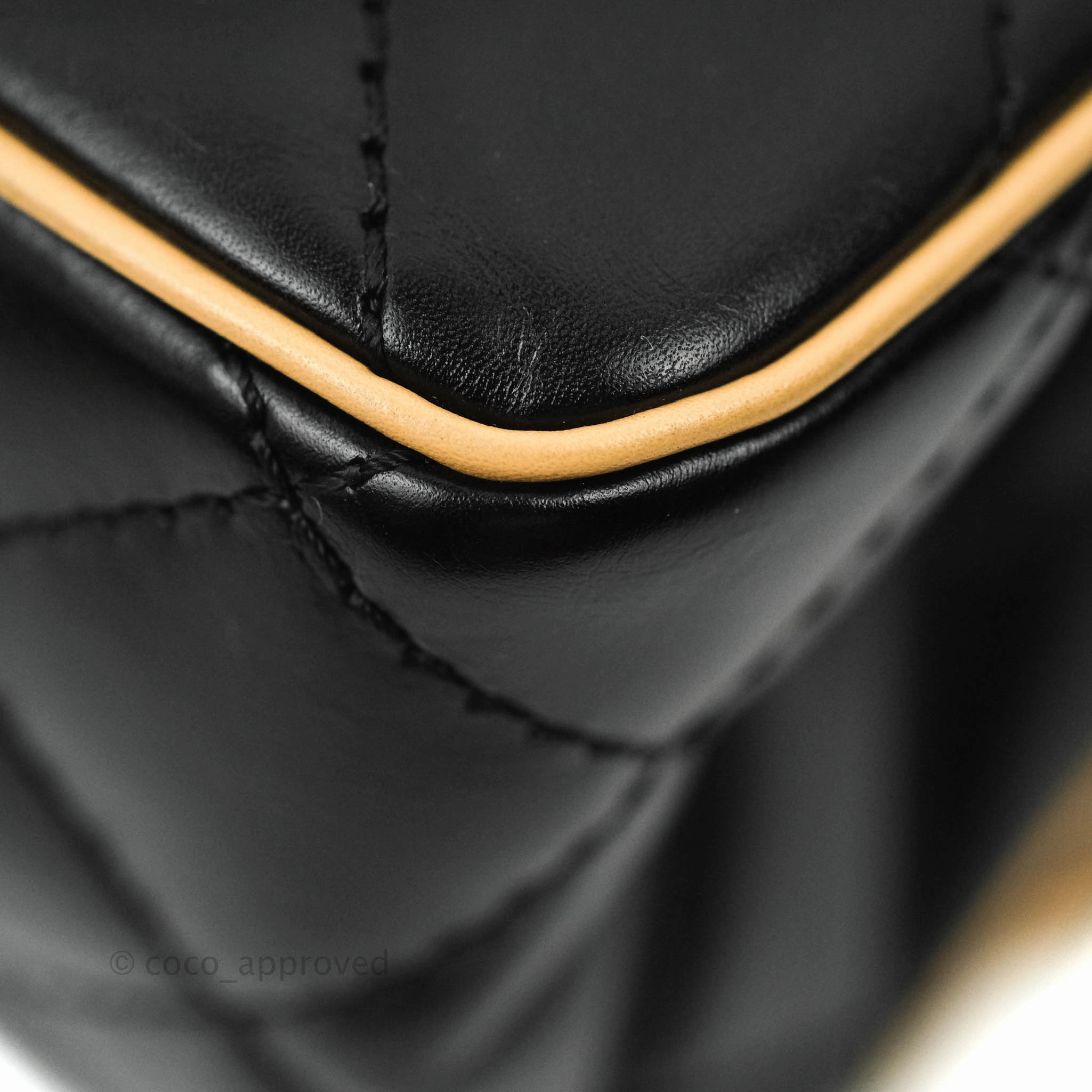 Chanel Reissue Quilted Aged Calfskin Beige & Black Ruthenium Hardware 226