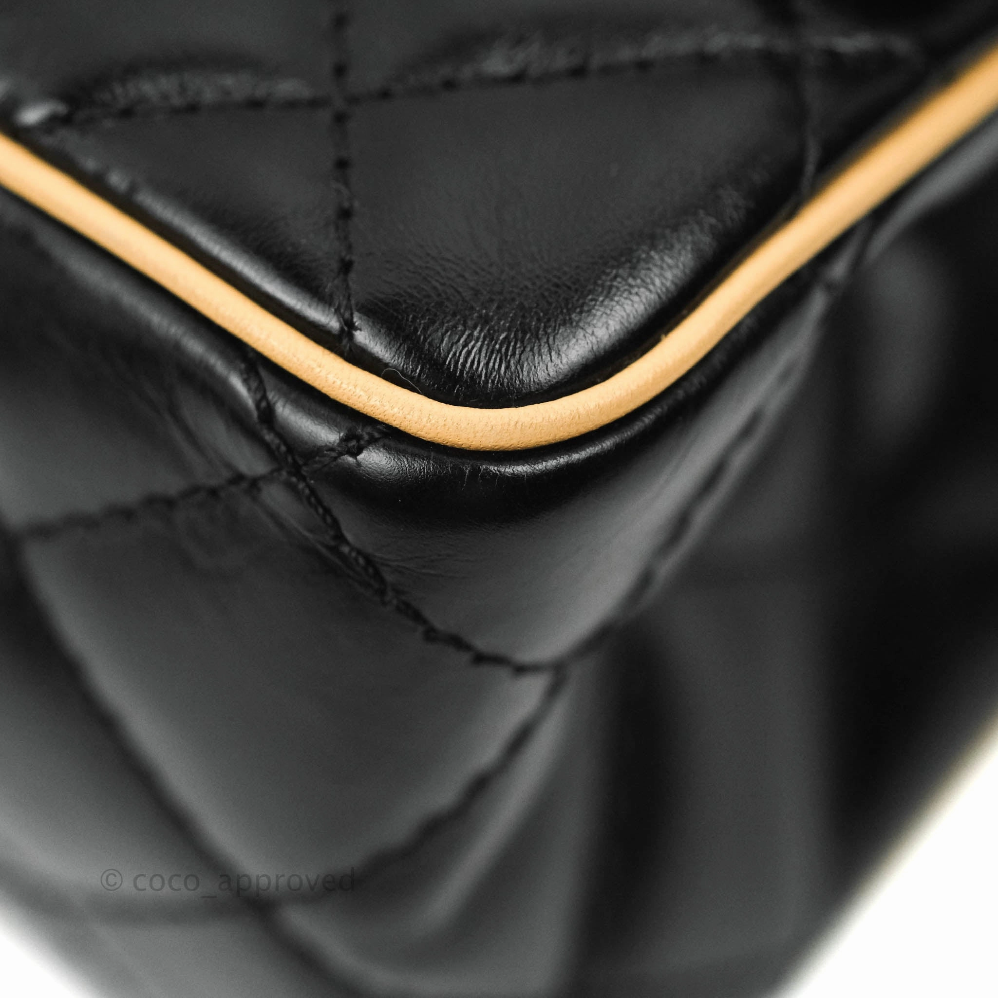 Chanel Reissue Quilted Aged Calfskin Beige & Black Ruthenium Hardware 226