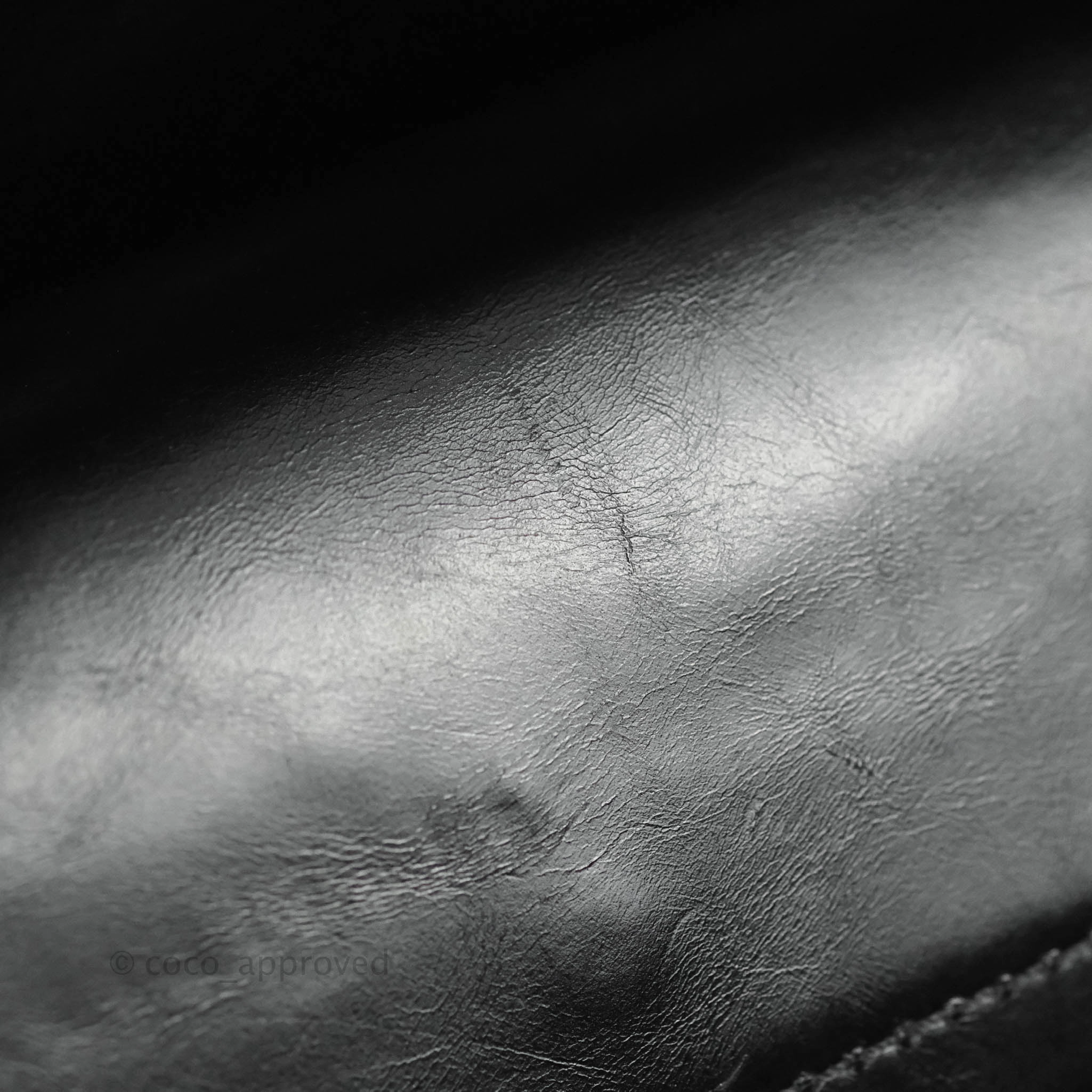Chanel Reissue Quilted Aged Calfskin Beige & Black Ruthenium Hardware 226