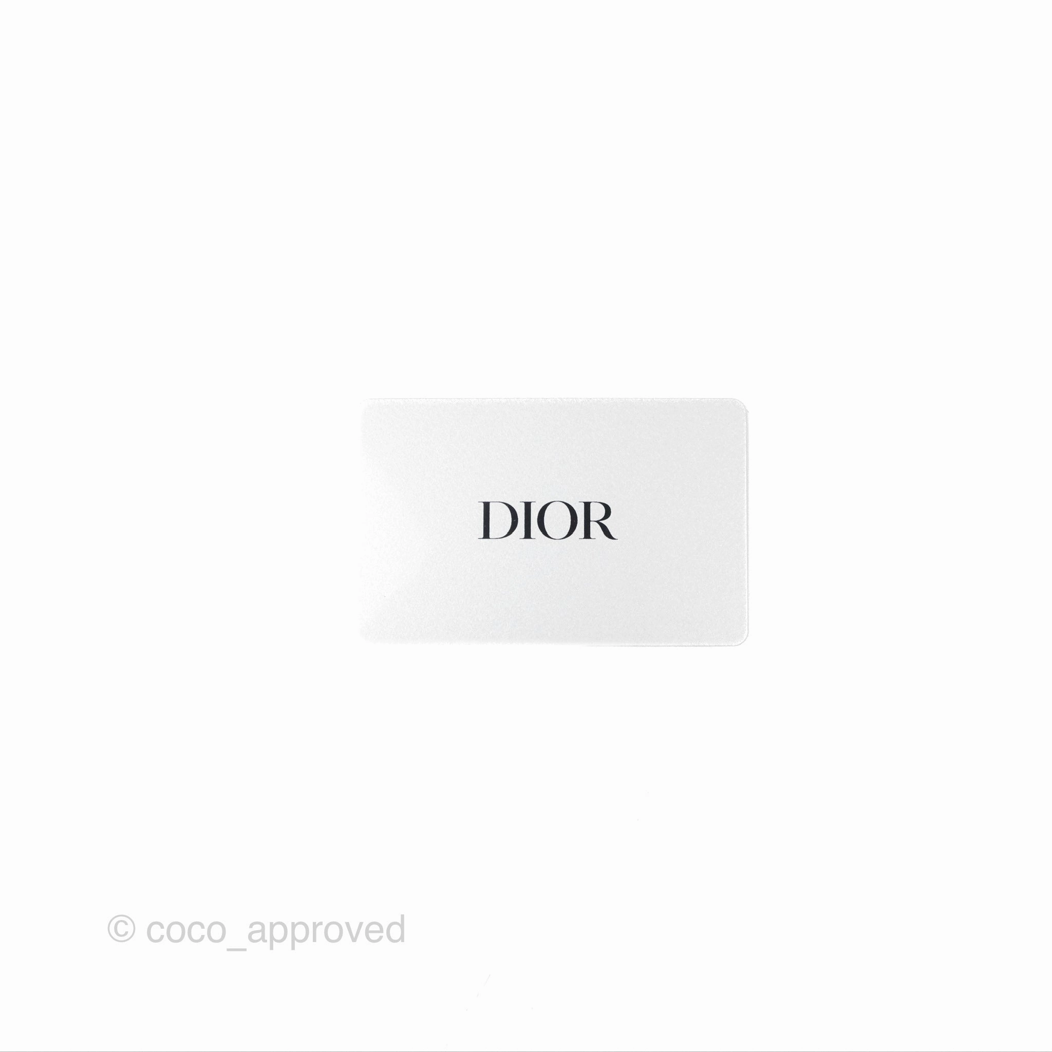 Christian Dior Bobby East-West Bag Blue Oblique Jacquard Canvas