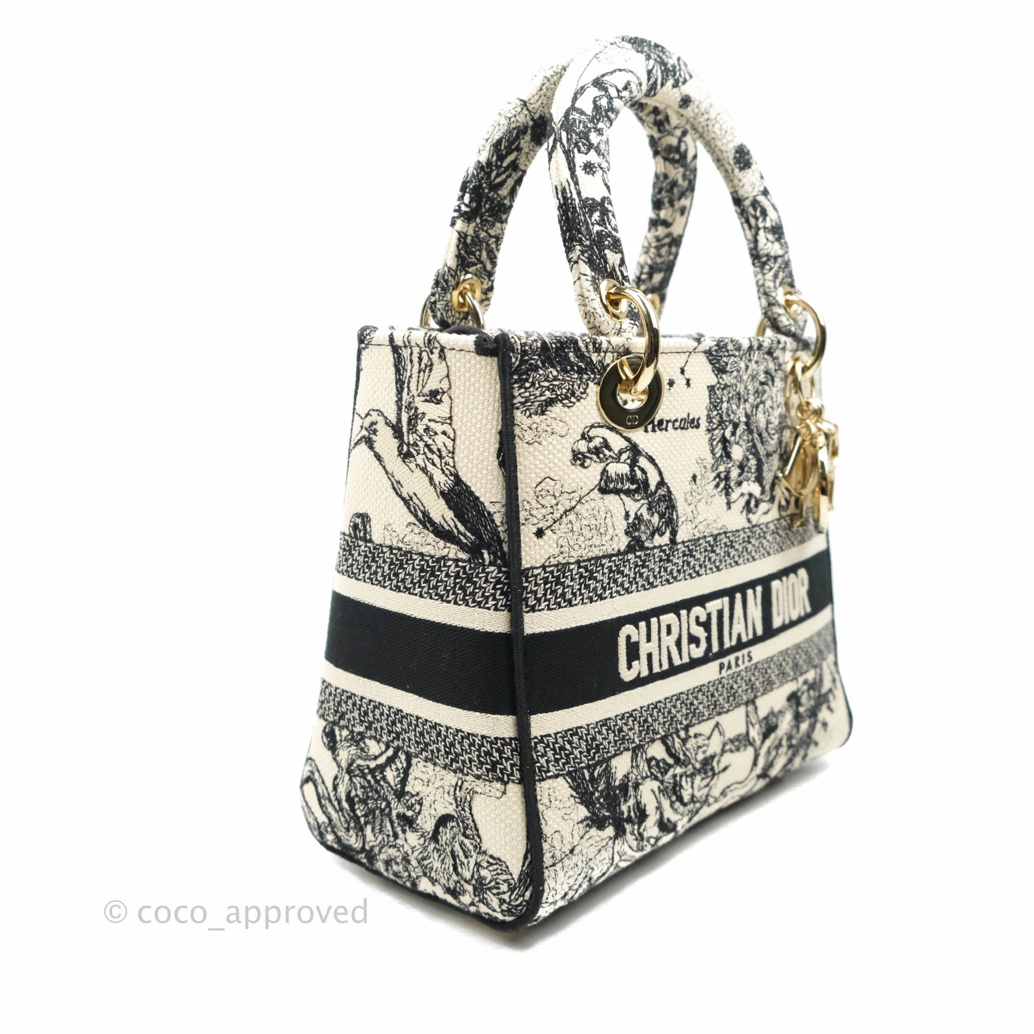 Christian Dior Medium Lady D-Lite Toile de Jouy Zodiac Embroidery Gold Hardware