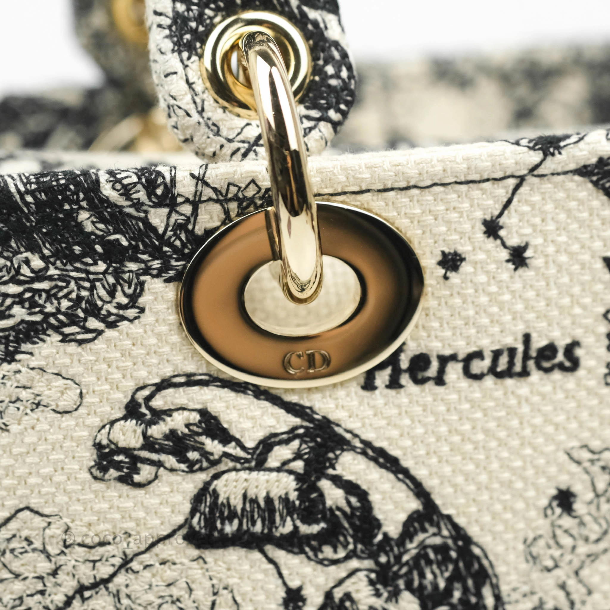 Christian Dior Medium Lady D-Lite Toile de Jouy Zodiac Embroidery Gold Hardware