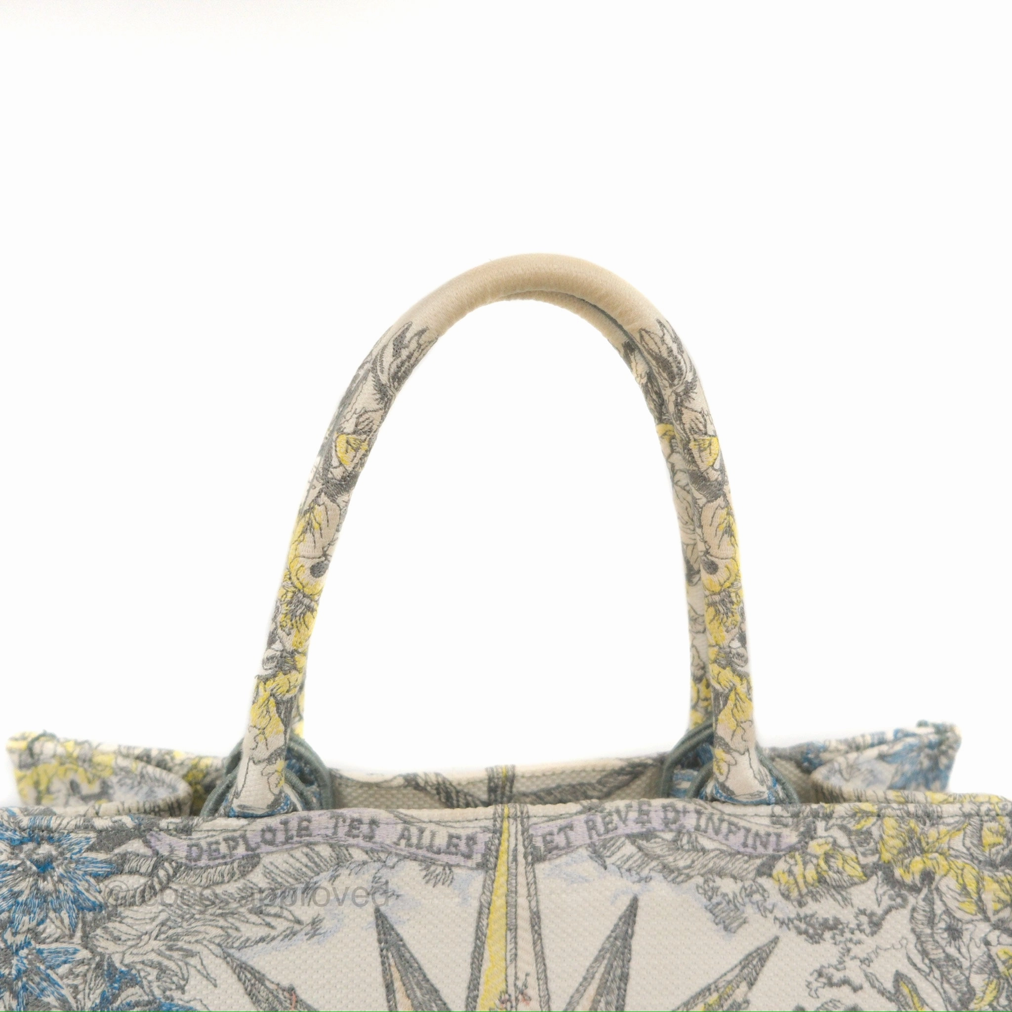 Christian Dior Medium(Old Small) Book Tote White Multicolor Rve d'Infini Embroidery