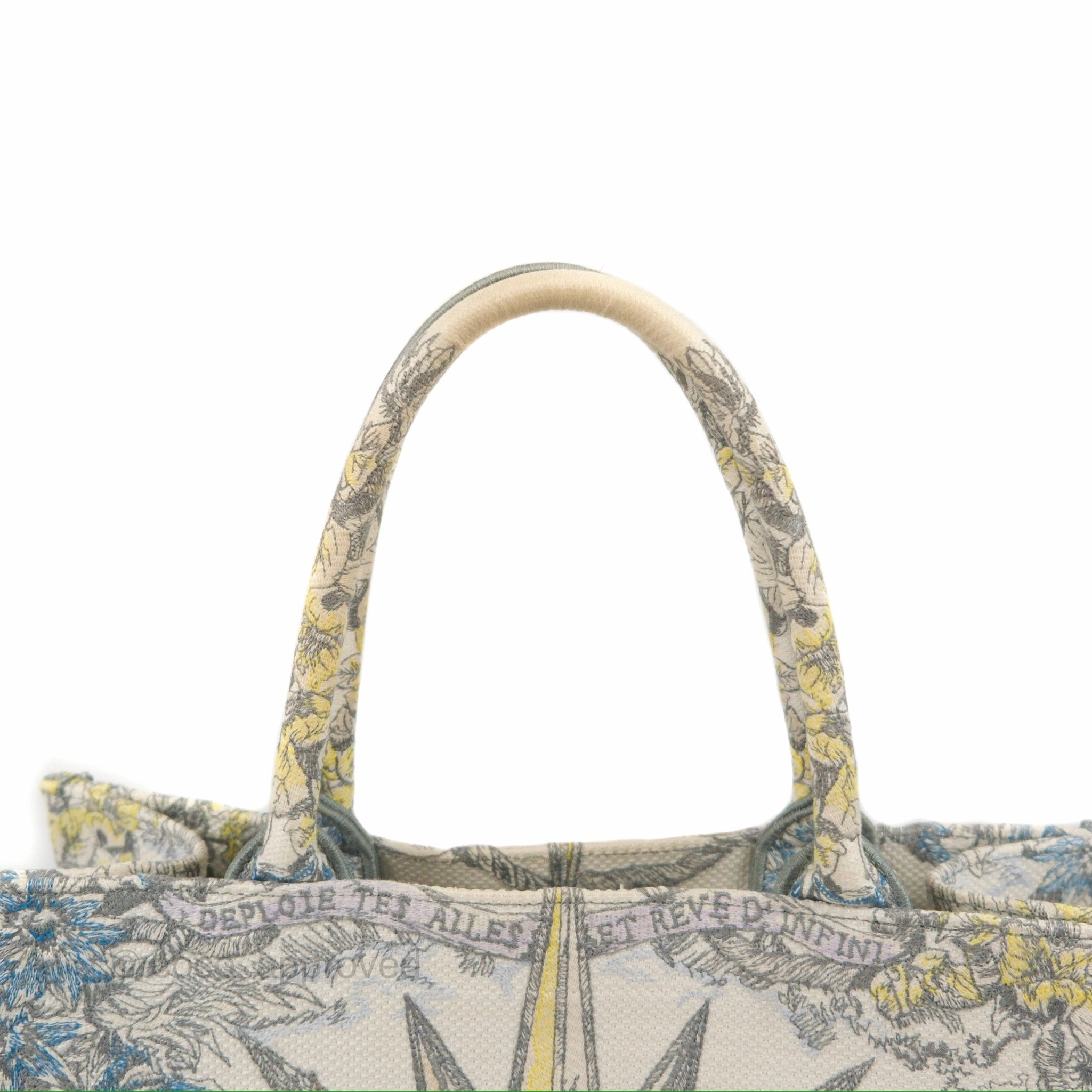 Christian Dior Medium(Old Small) Book Tote White Multicolor Rve d'Infini Embroidery