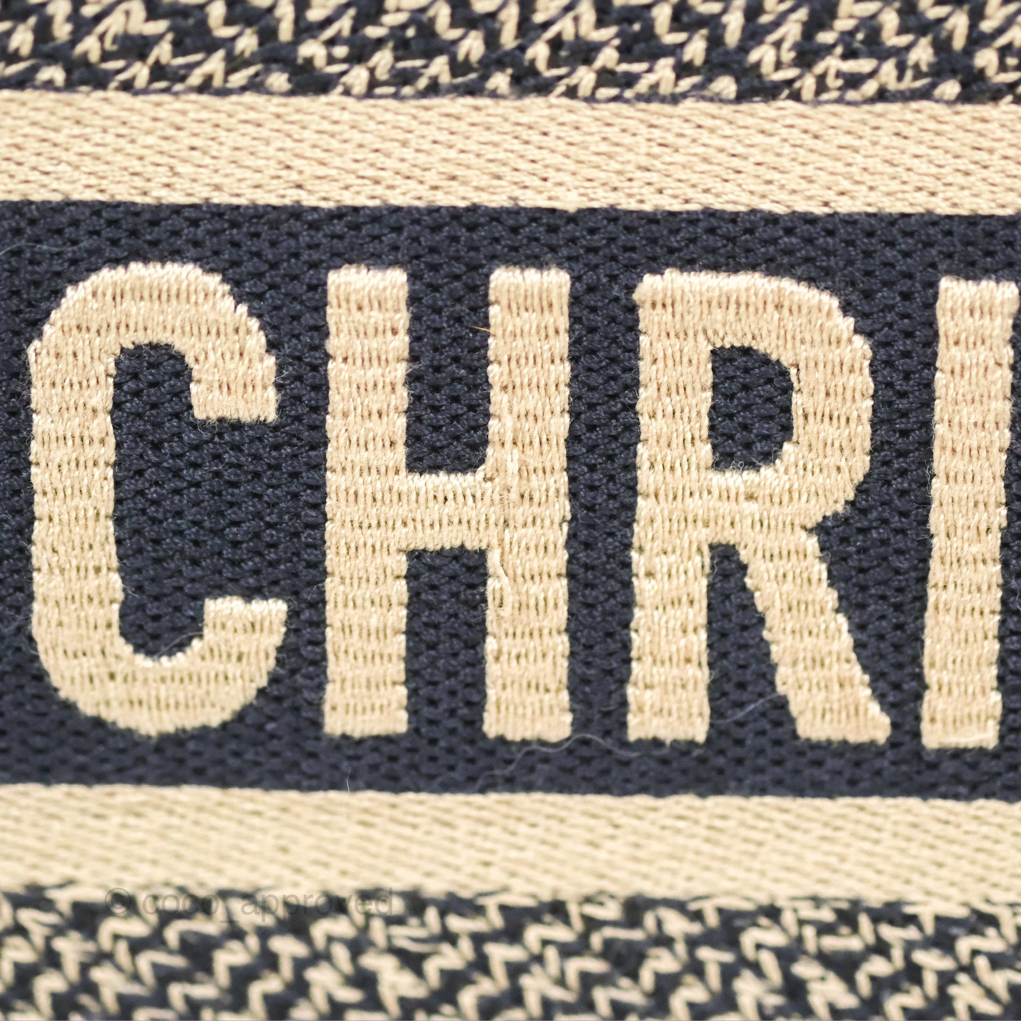 Christian Dior Medium (Old Small) Dior Navy Oblique Embroidery Canvas Book Tote