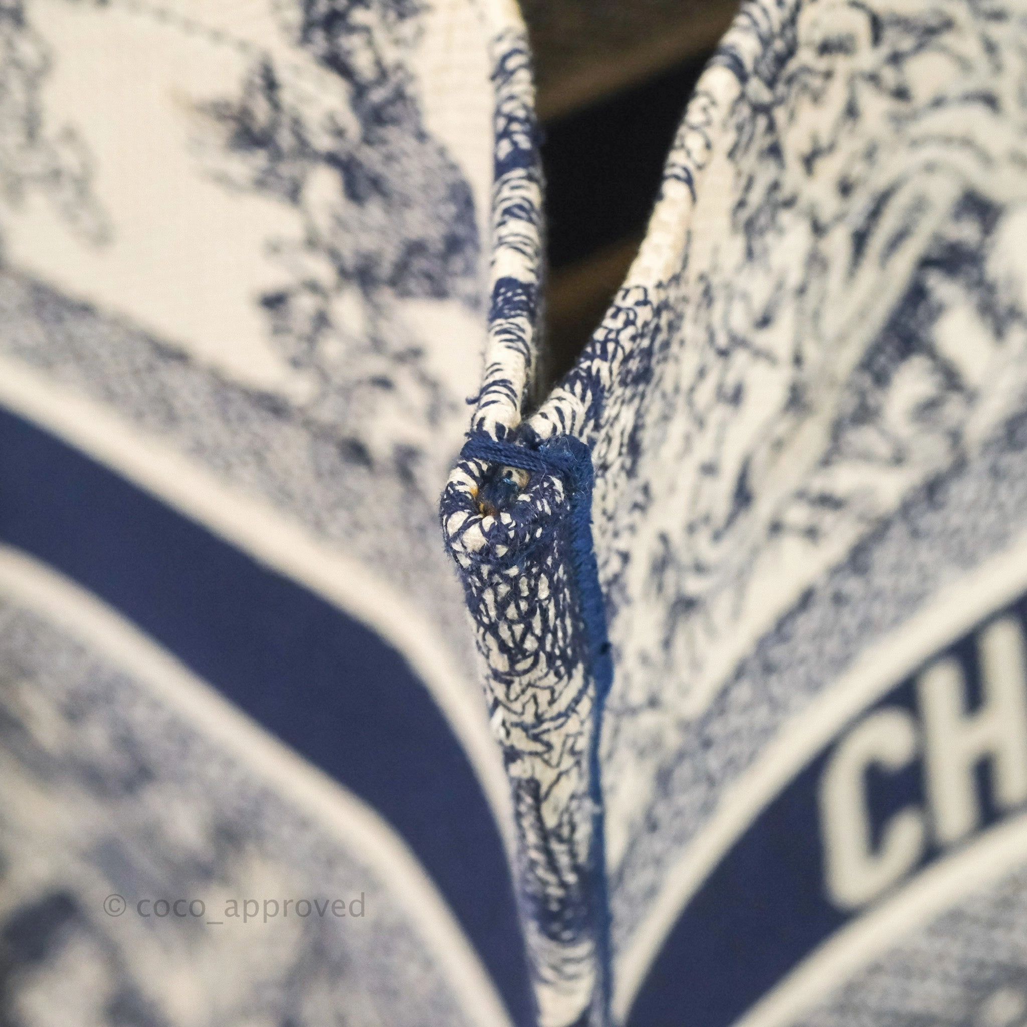 Christian Dior Medium (Old Small) Embroidered Toile De Jouy Canvas Book Tote Blue