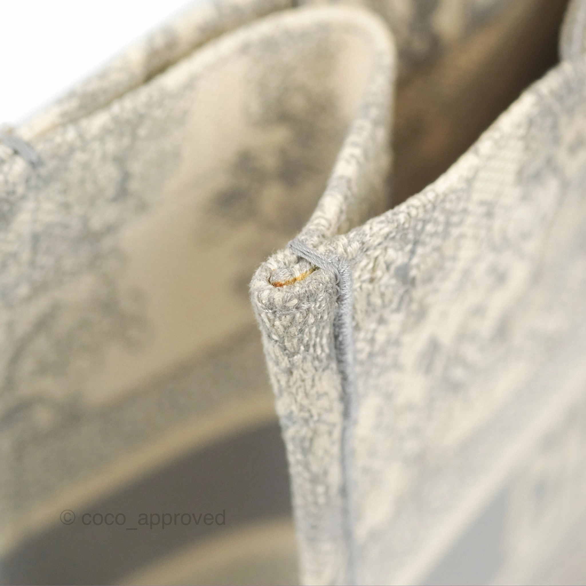 Christian Dior Medium (Old Small) Embroidered Toile De Jouy Light Grey Canvas Book Tote