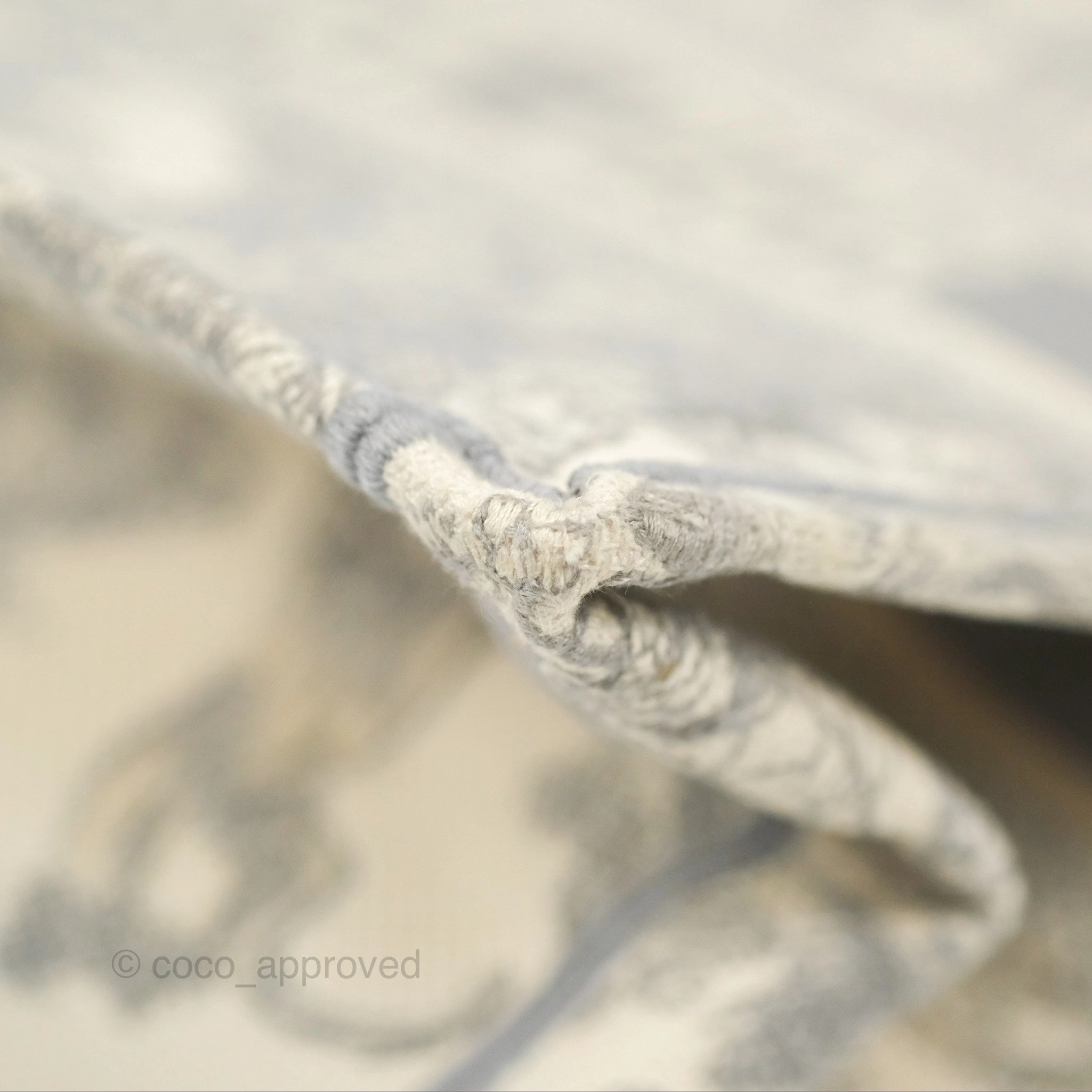 Christian Dior Medium (Old Small) Embroidered Toile De Jouy Light Grey Canvas Book Tote