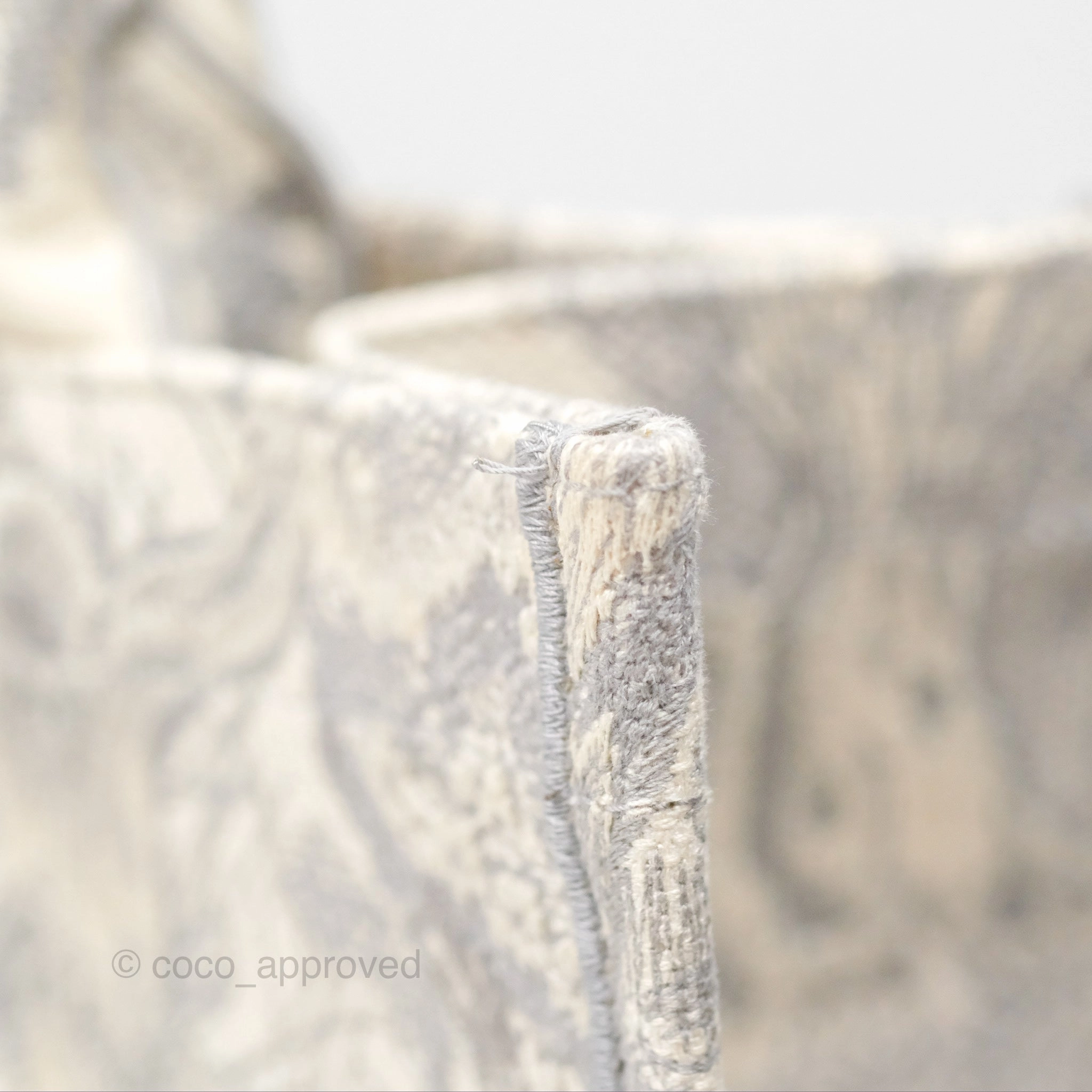 Christian Dior Medium (Old Small) Embroidered Toile De Jouy Light Grey Canvas Book Tote
