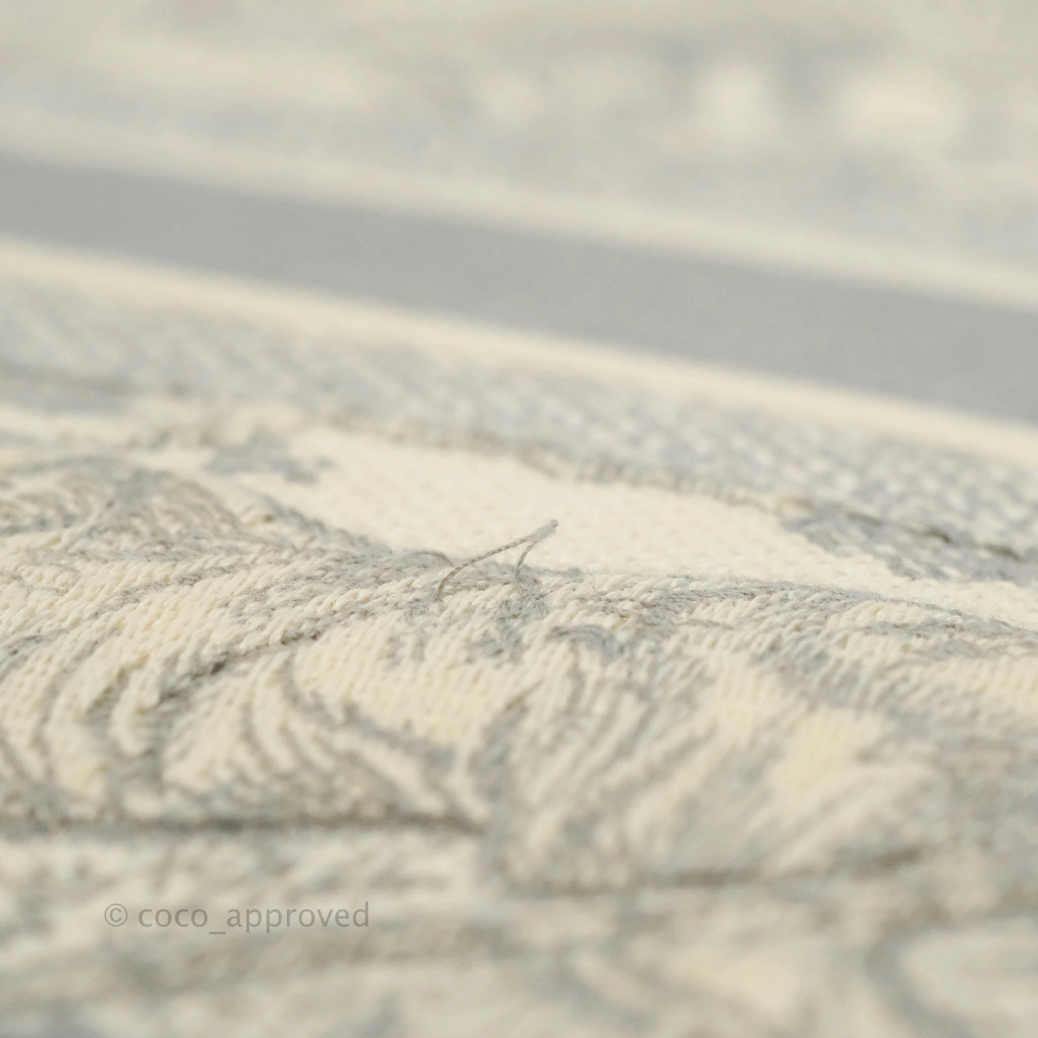 Christian Dior Medium (Old Small) Embroidered Toile De Jouy Light Grey Canvas Book Tote