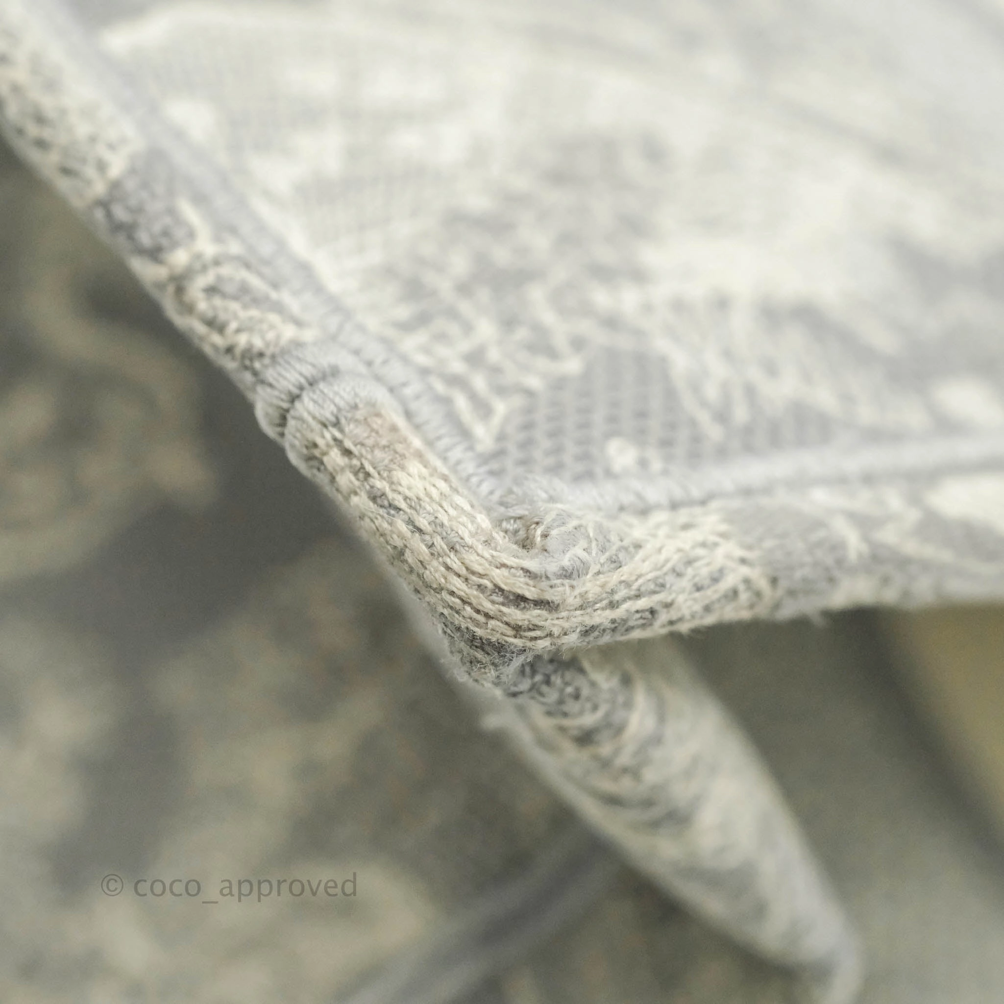 Christian Dior Medium (Old Small) Embroidered Toile De Jouy Light Grey Canvas Book Tote