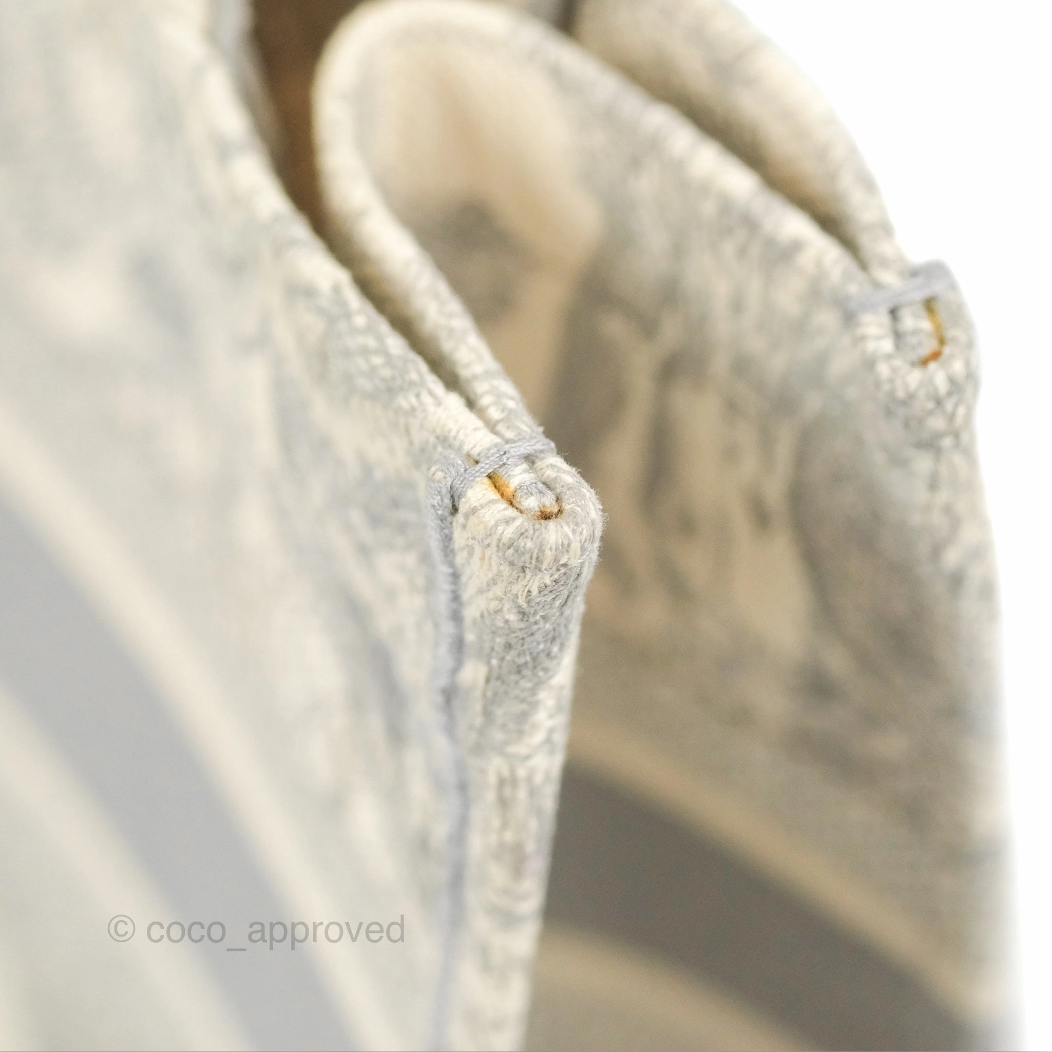 Christian Dior Medium (Old Small) Embroidered Toile De Jouy Light Grey Canvas Book Tote