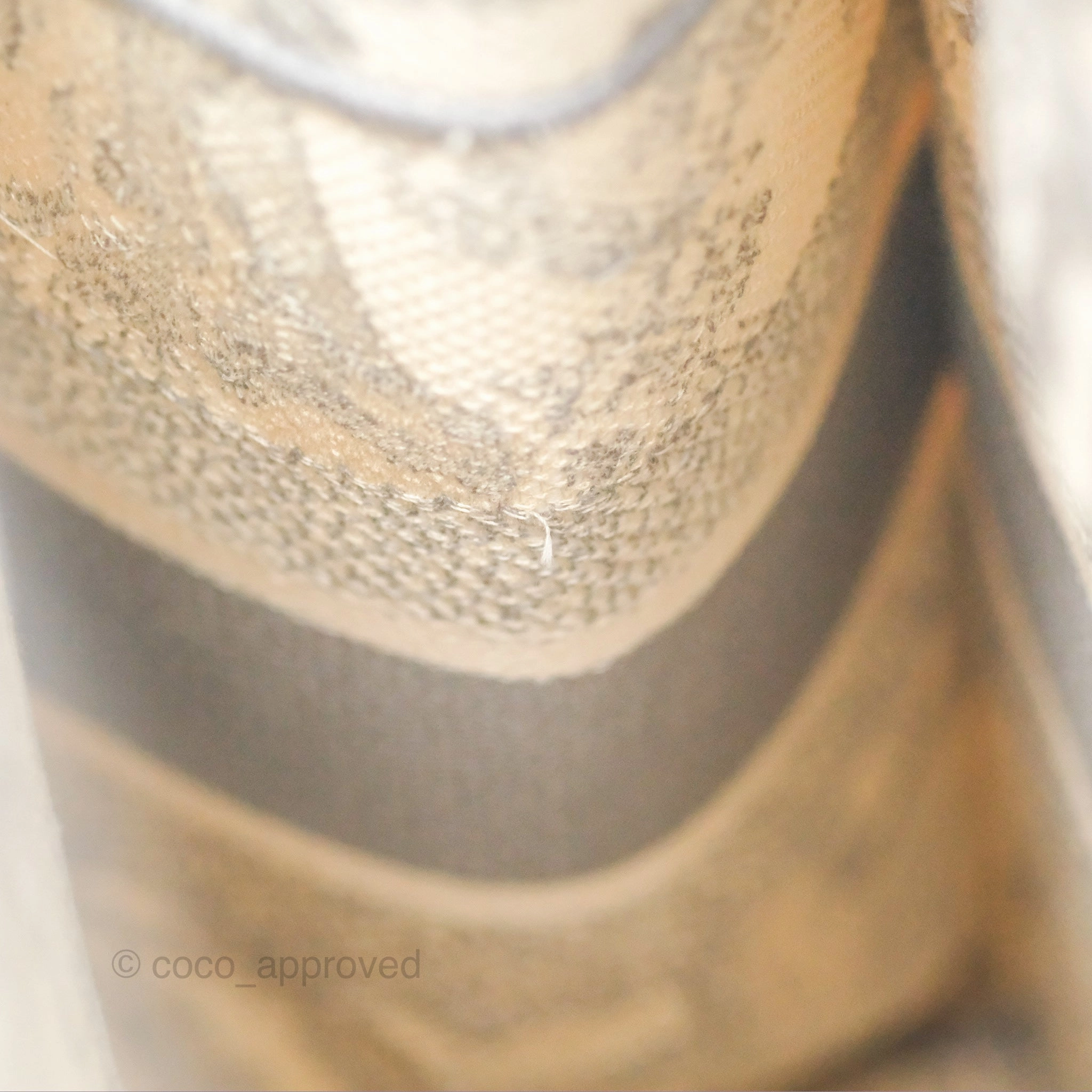 Christian Dior Medium (Old Small) Embroidered Toile De Jouy Light Grey Canvas Book Tote