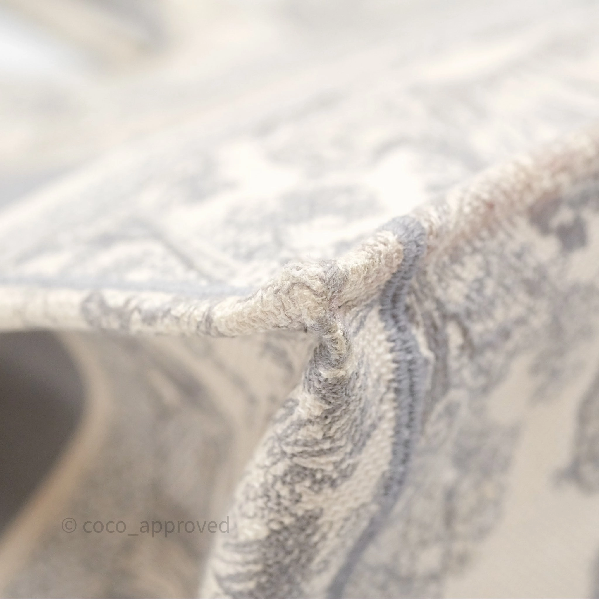 Christian Dior Medium (Old Small) Embroidered Toile De Jouy Light Grey Canvas Book Tote