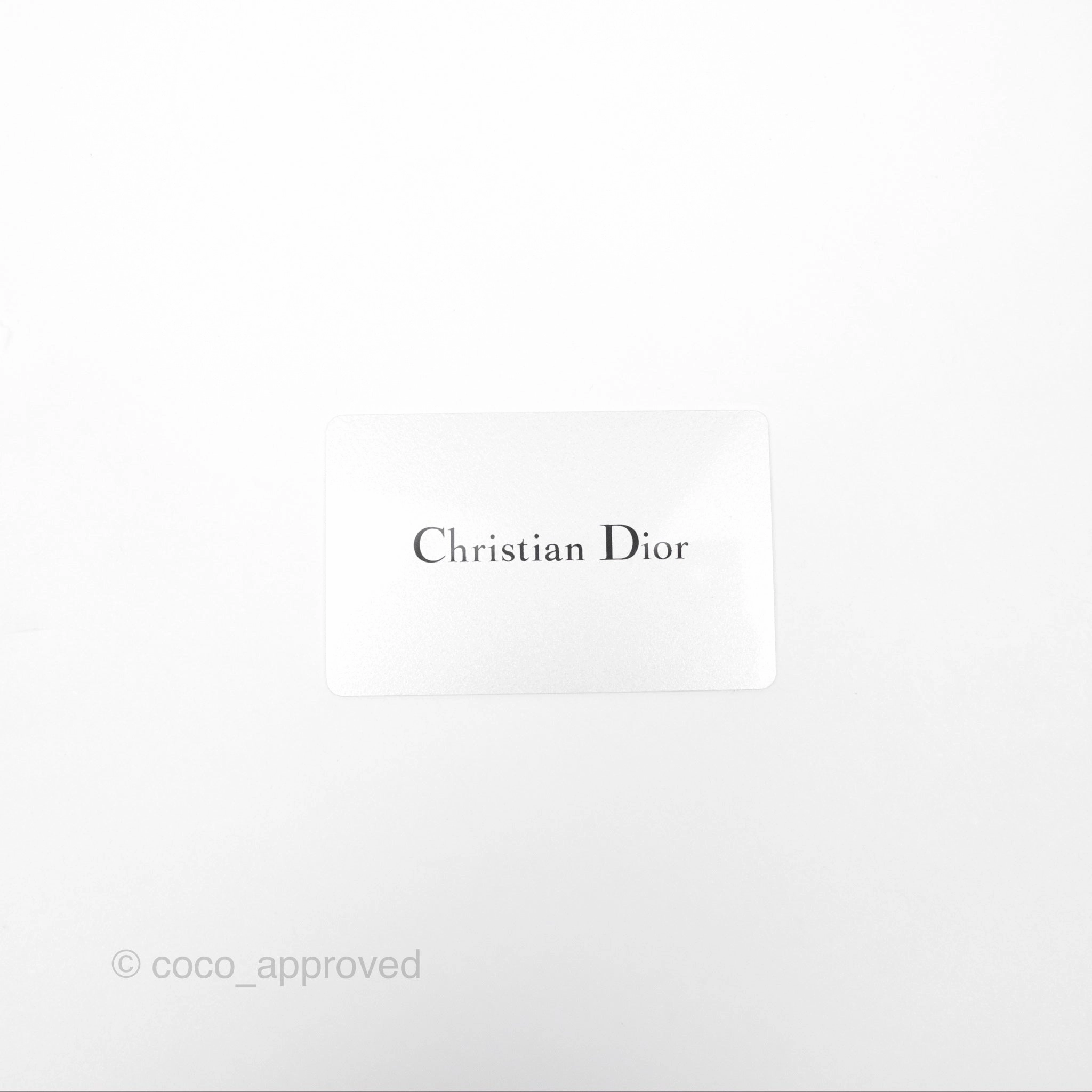 Christian Dior Medium (Old Small) Embroidered Toile De Jouy Light Grey Canvas Book Tote