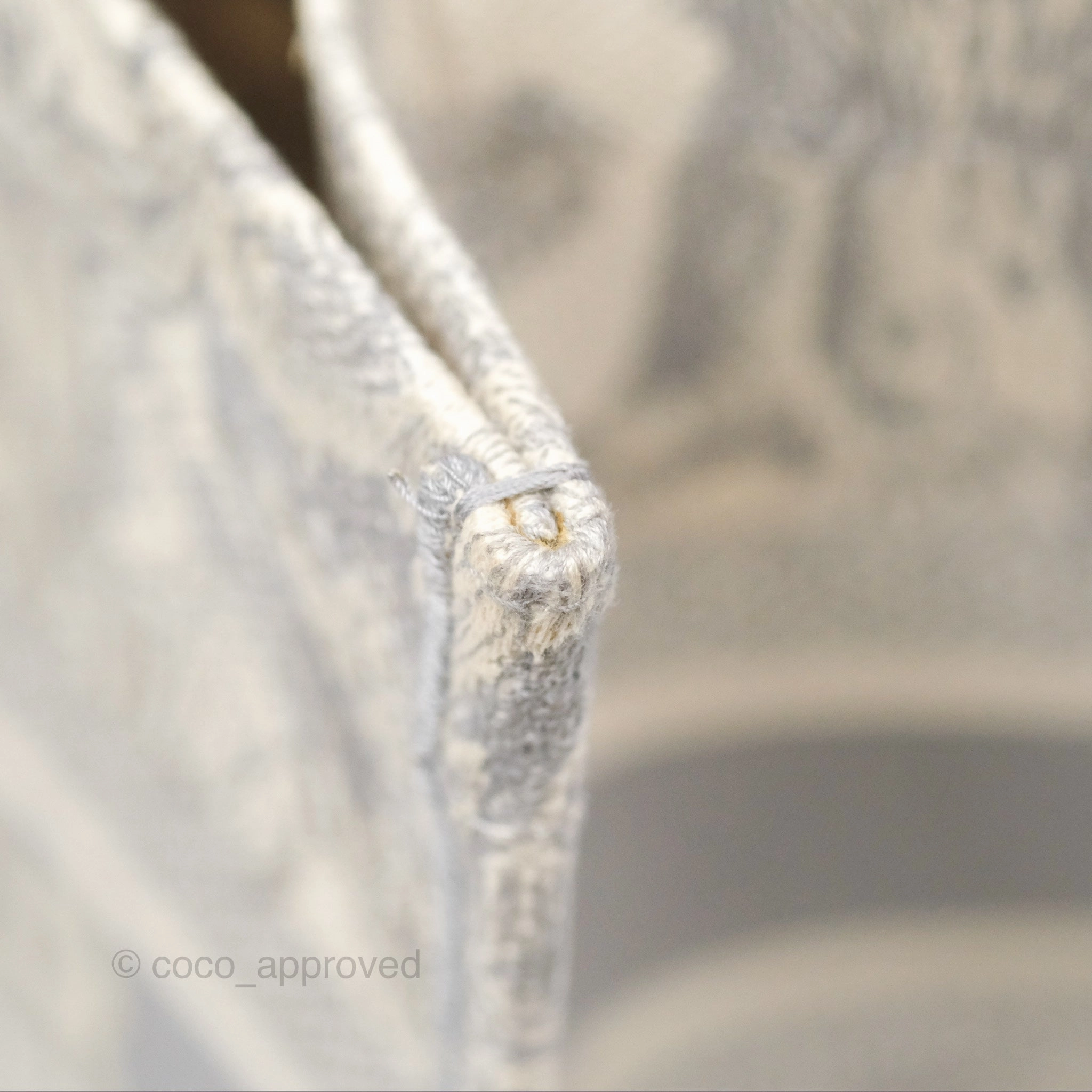 Christian Dior Medium (Old Small) Embroidered Toile De Jouy Light Grey Canvas Book Tote