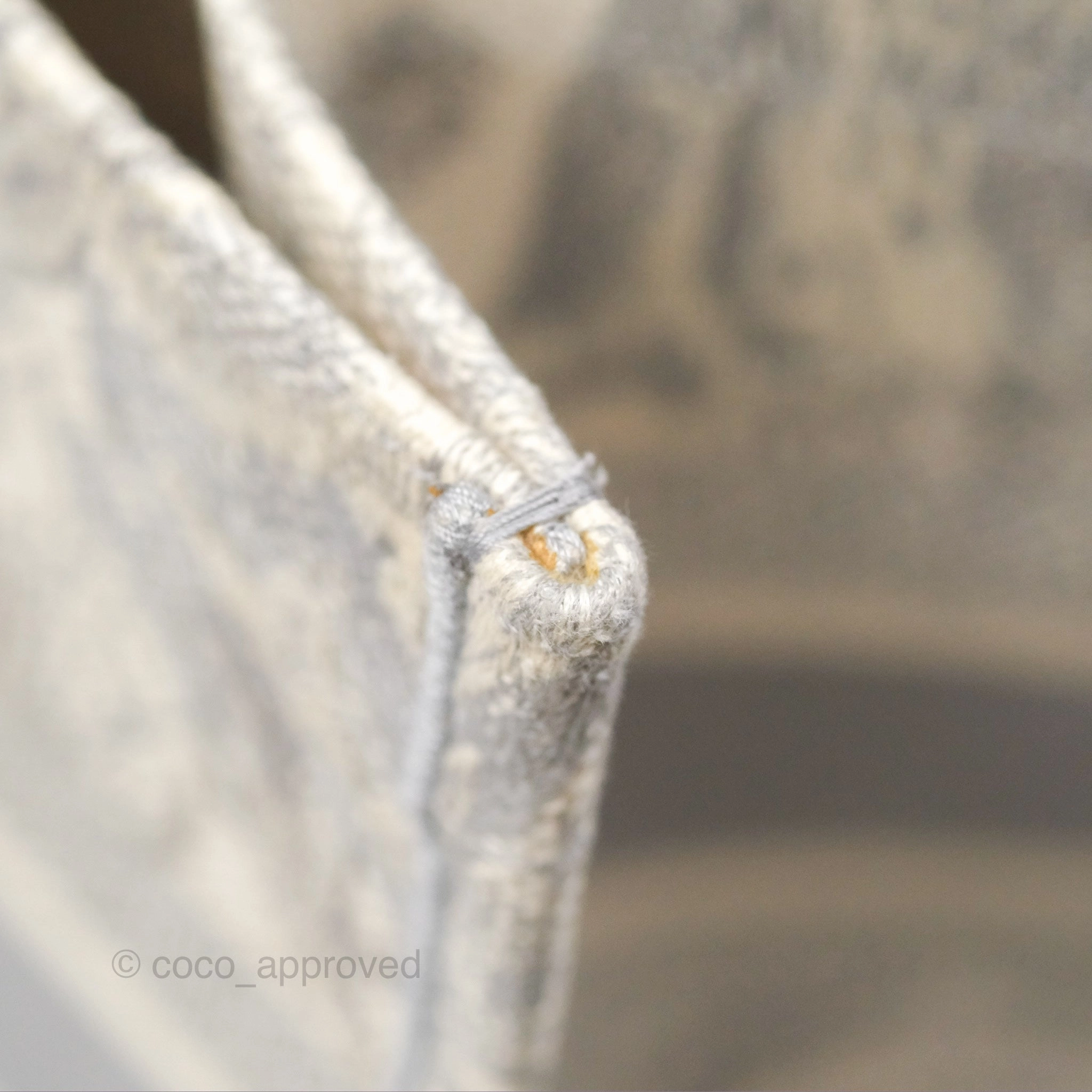 Christian Dior Medium (Old Small) Embroidered Toile De Jouy Light Grey Canvas Book Tote