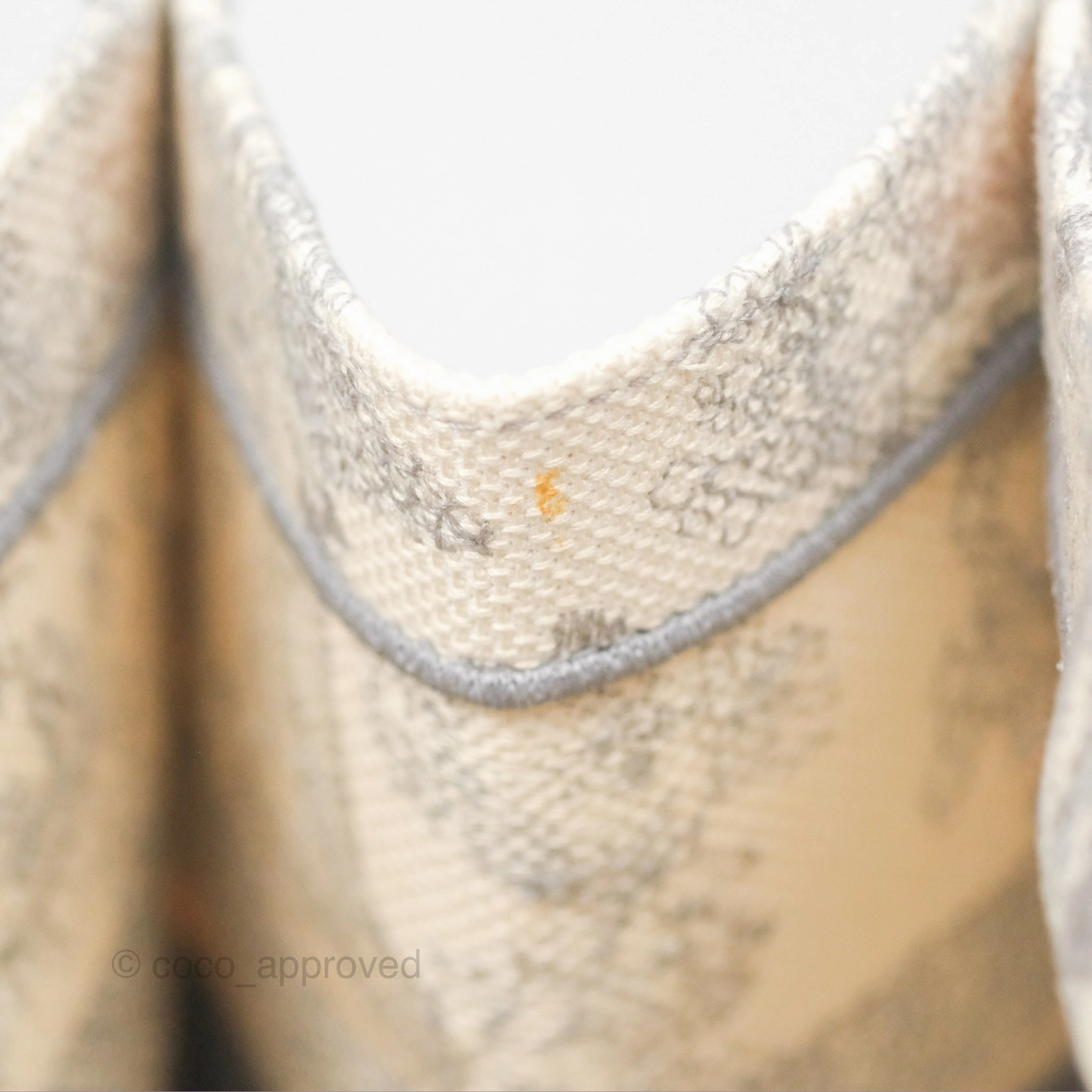Christian Dior Medium (Old Small) Embroidered Toile De Jouy Light Grey Canvas Book Tote