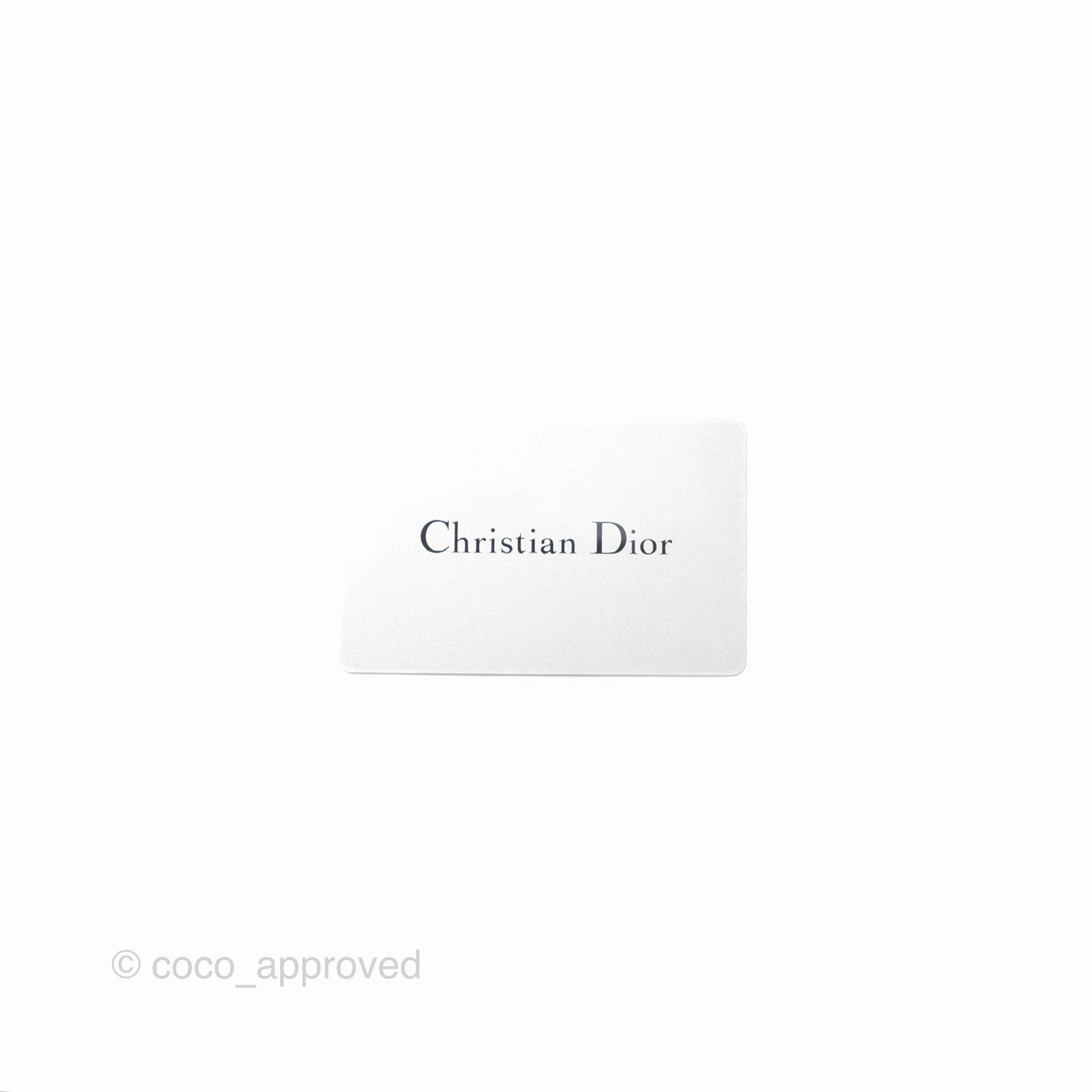Christian Dior Mini Saddle Bag Cloud Blue Grained Calfskin Gold Hardware