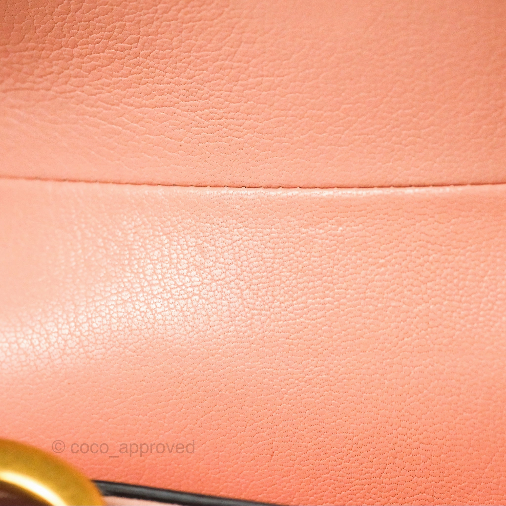 Christian Dior Mini Saddle Bag Pink Goatskin Gold Hardware