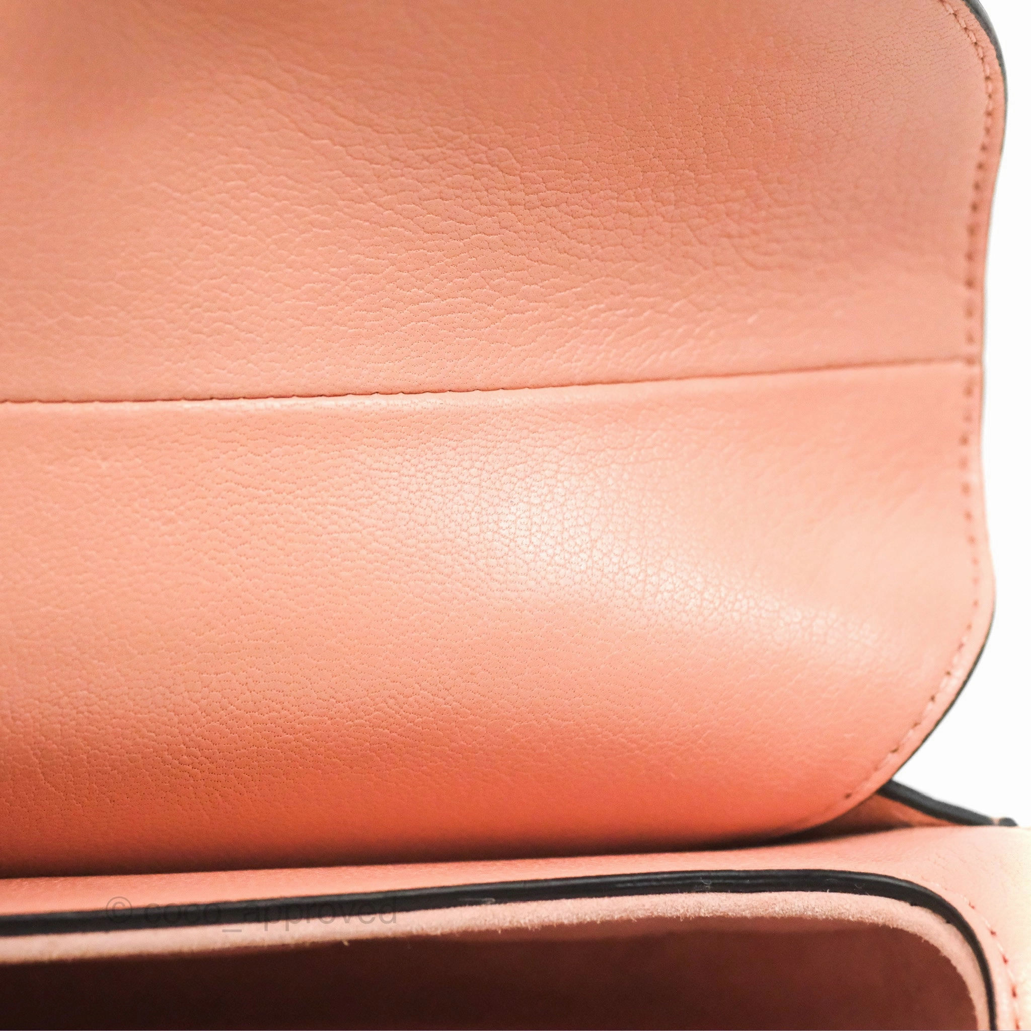 Christian Dior Mini Saddle Bag Pink Goatskin Gold Hardware