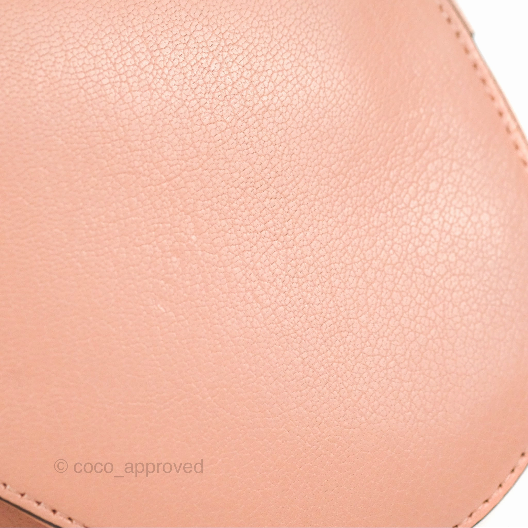 Christian Dior Mini Saddle Bag Pink Goatskin Gold Hardware