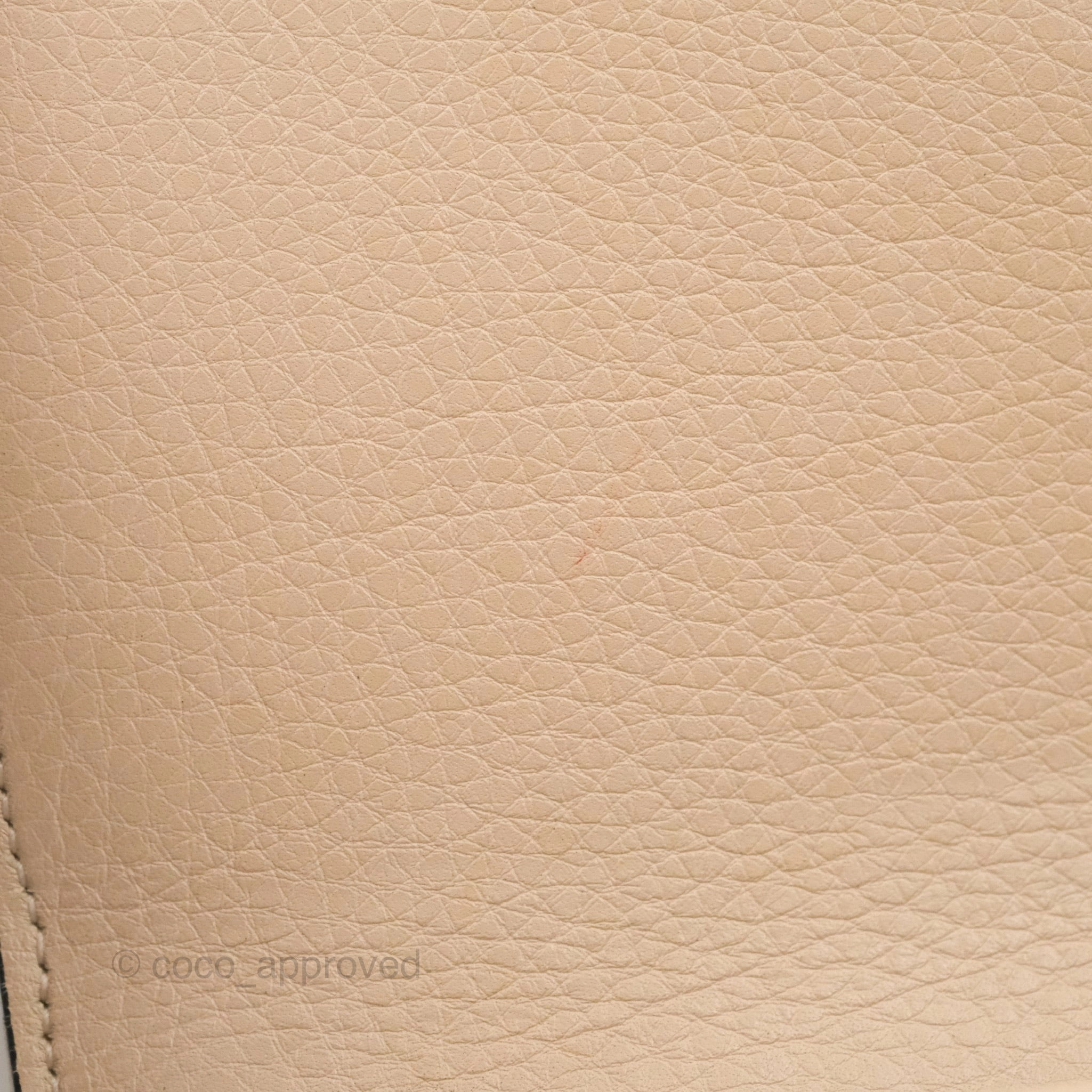 Christian Dior Small Diorama Calfskin Flap Bag Nude Pink Gold Hardware