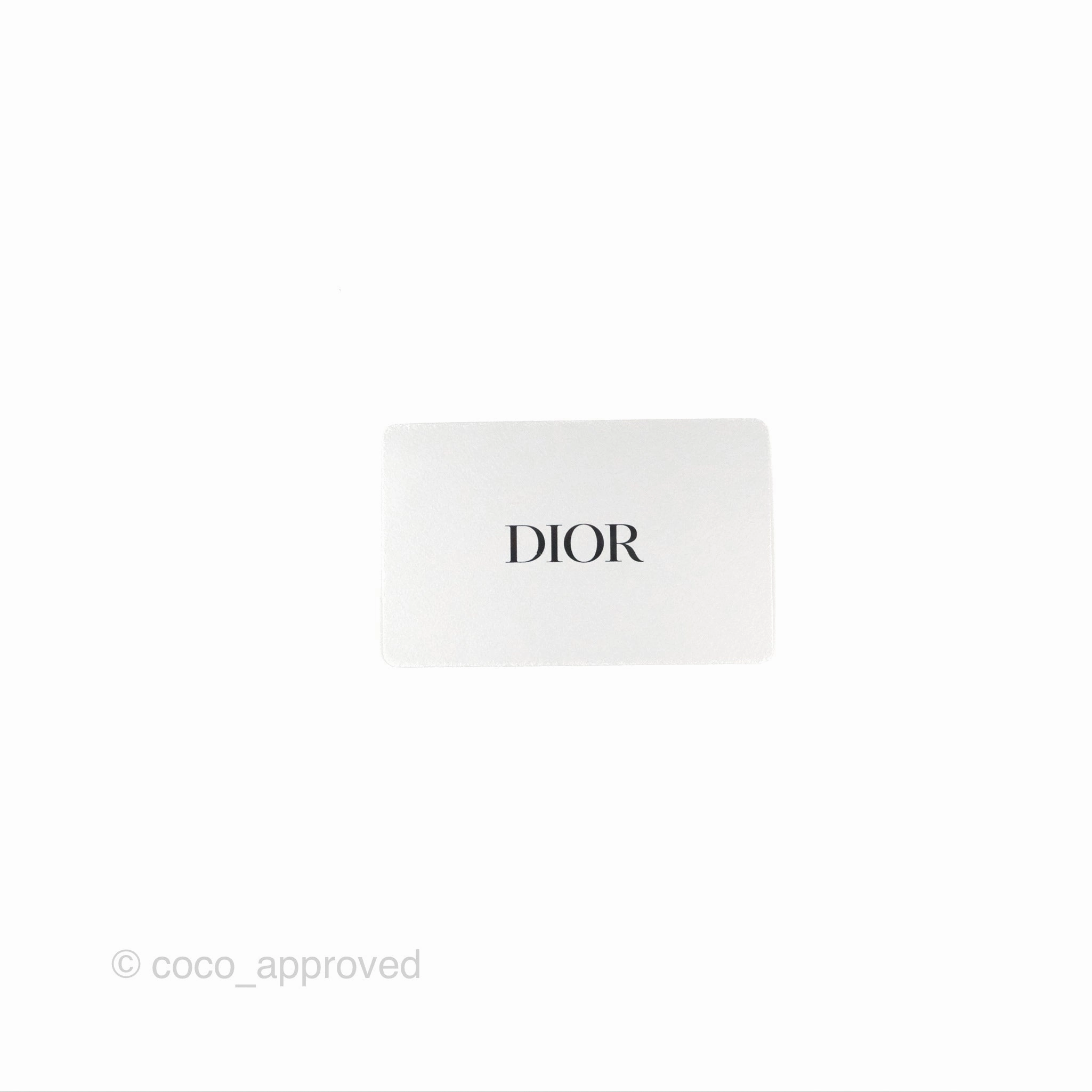 Dior 30 Montaigne East-West Bag With Chain Blue Dior Oblique Jacquard