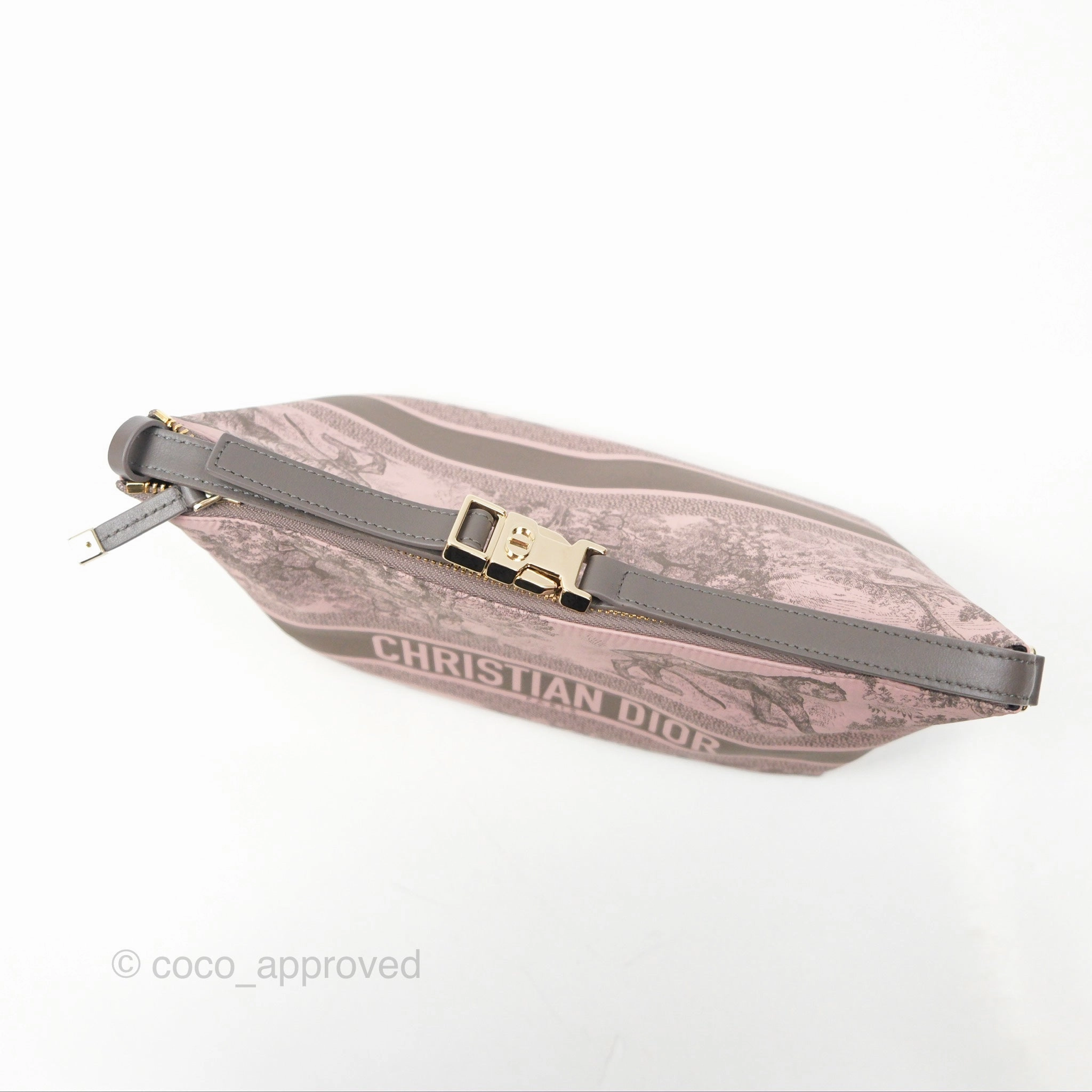 Dior Medium DiorTravel Nomad Pouch Pink Grey Toile de Jouy Reverse Technical Fabric