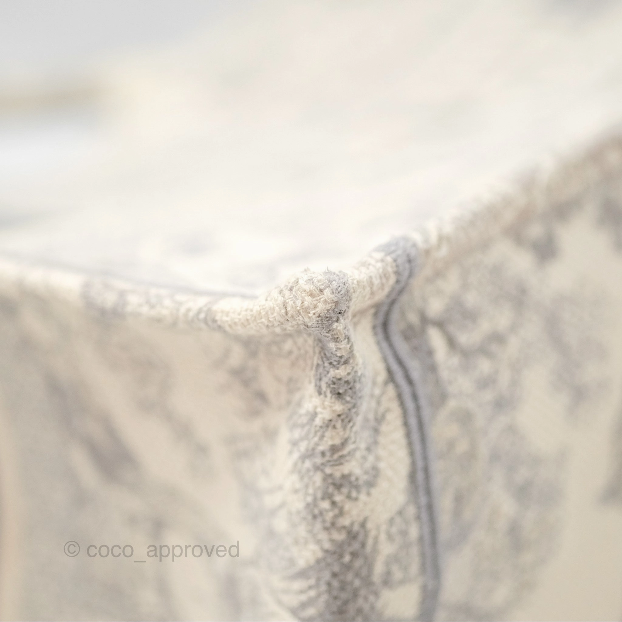 Dior Medium (Old Small) Embroidered Toile De Jouy Book Tote Light Grey Canvas