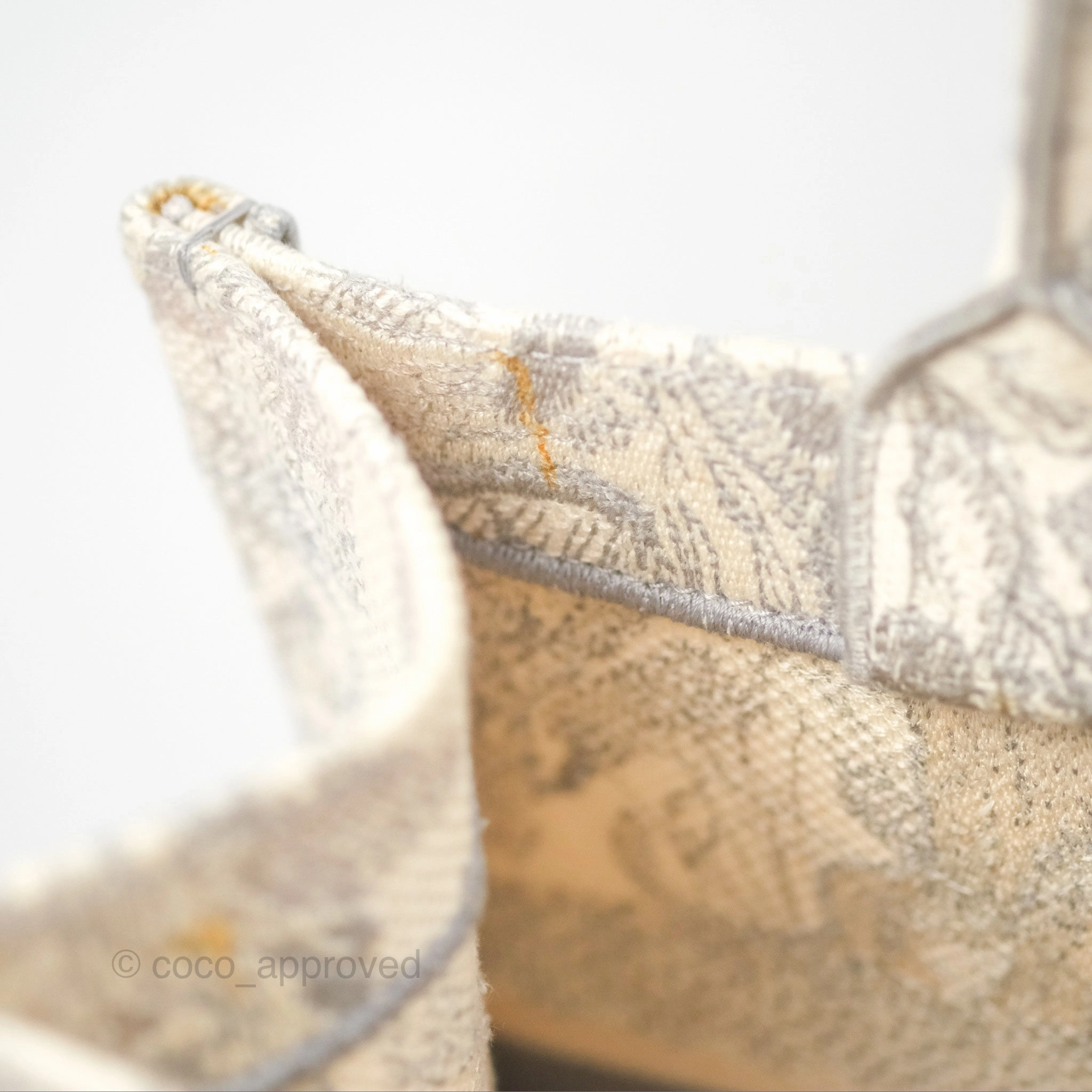 Dior Medium (Old Small) Embroidered Toile De Jouy Book Tote Light Grey Canvas